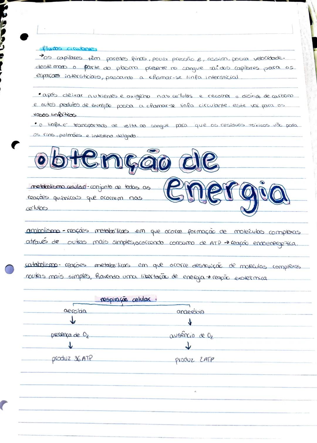 Bidogia 10
a biodiversidade ou diversidade biologica compreende a variedade de formas
de
vica que existem ou jo existicam
diversidade ecológ