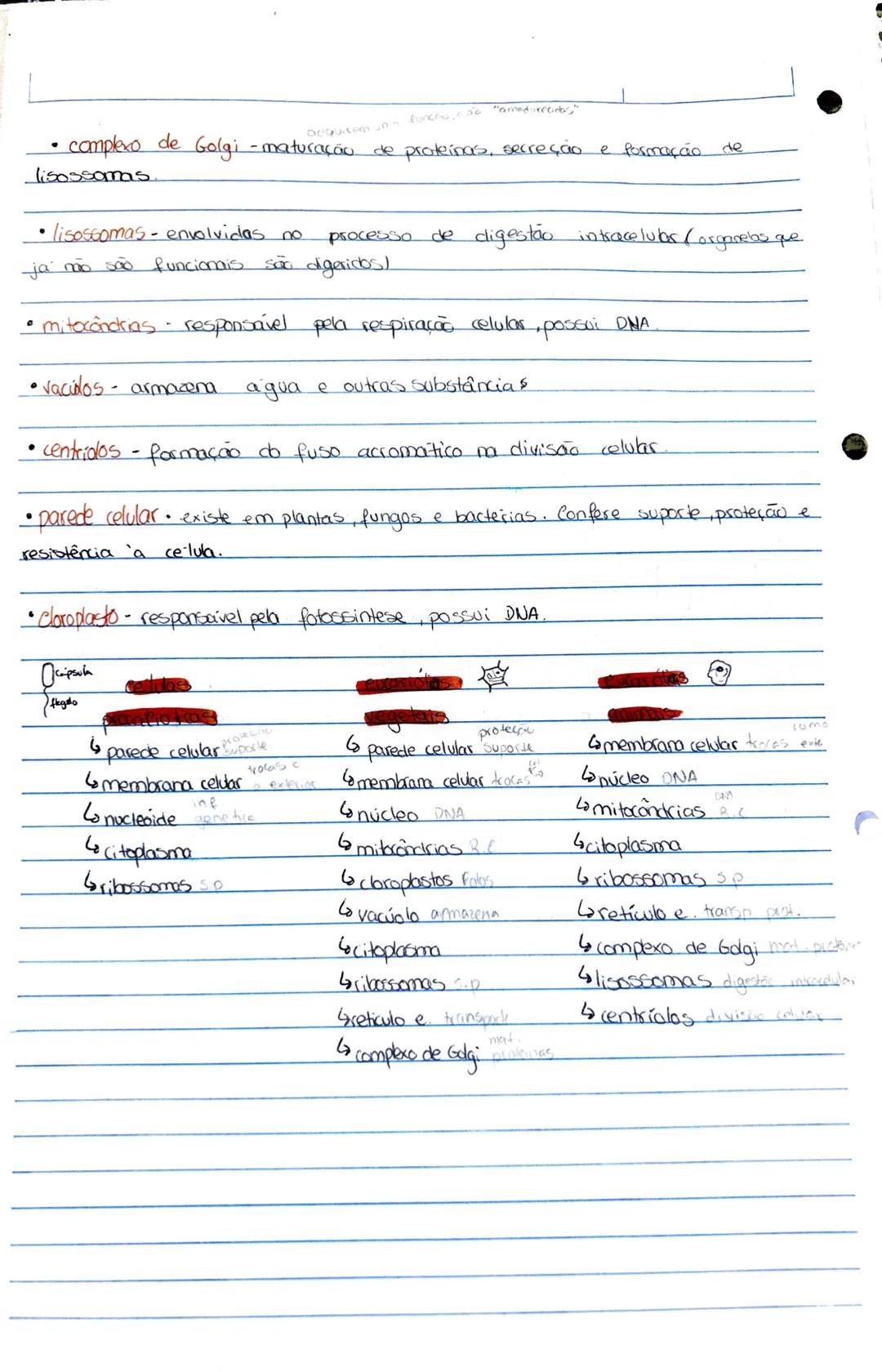Bidogia 10
a biodiversidade ou diversidade biologica compreende a variedade de formas
de
vica que existem ou jo existicam
diversidade ecológ