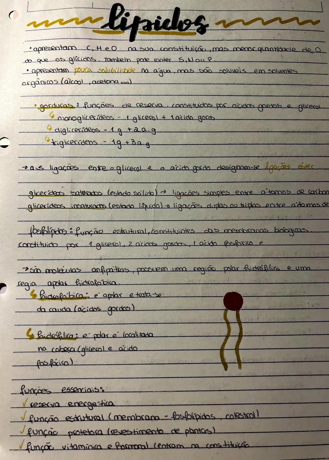 Bidogia 10
a biodiversidade ou diversidade biologica compreende a variedade de formas
de
vica que existem ou jo existicam
diversidade ecológ