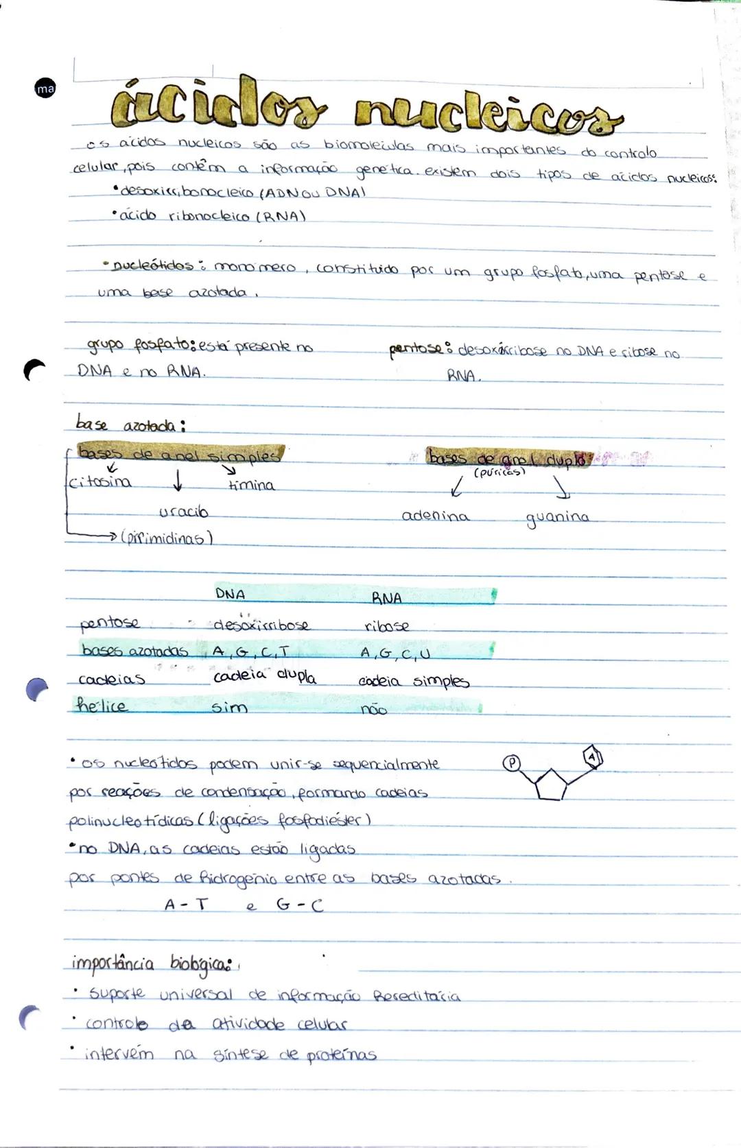 Bidogia 10
a biodiversidade ou diversidade biologica compreende a variedade de formas
de
vica que existem ou jo existicam
diversidade ecológ