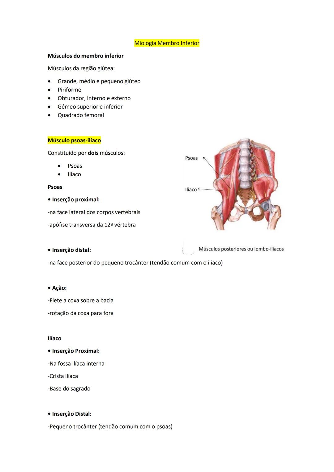 Terminologia e planos do corpo humano
Descreve planos espaciais dos órgãos
O corpo humano deve-se considerar na seguinte posição
• Sempre o