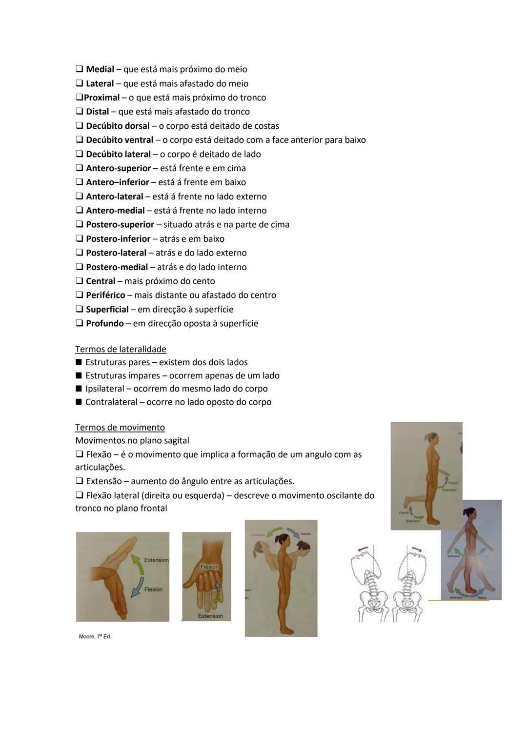 Terminologia e planos do corpo humano
Descreve planos espaciais dos órgãos
O corpo humano deve-se considerar na seguinte posição
• Sempre o