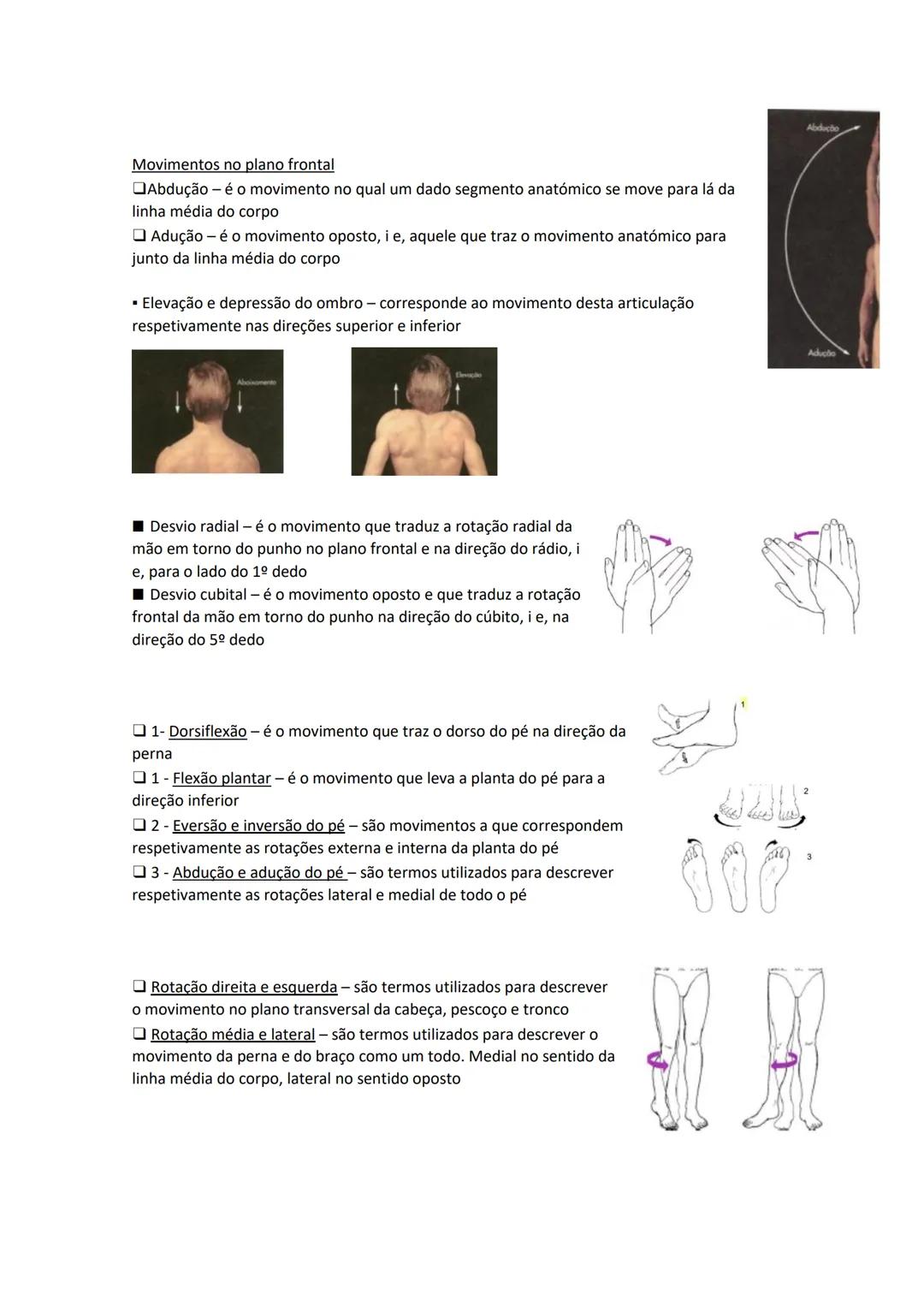 Terminologia e planos do corpo humano
Descreve planos espaciais dos órgãos
O corpo humano deve-se considerar na seguinte posição
• Sempre o