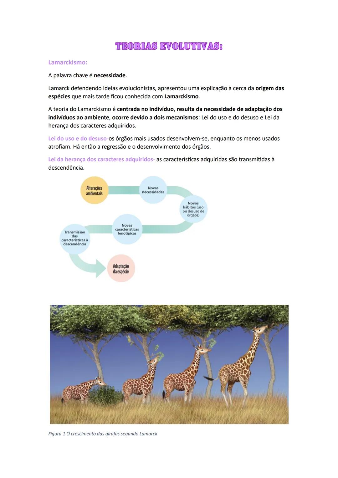 # TEORIAS EVOLUTIVAS:
Lamarckismo:
A palavra chave é necessidade.
Lamarck defendendo ideias evolucionistas, apresentou uma explicação à c