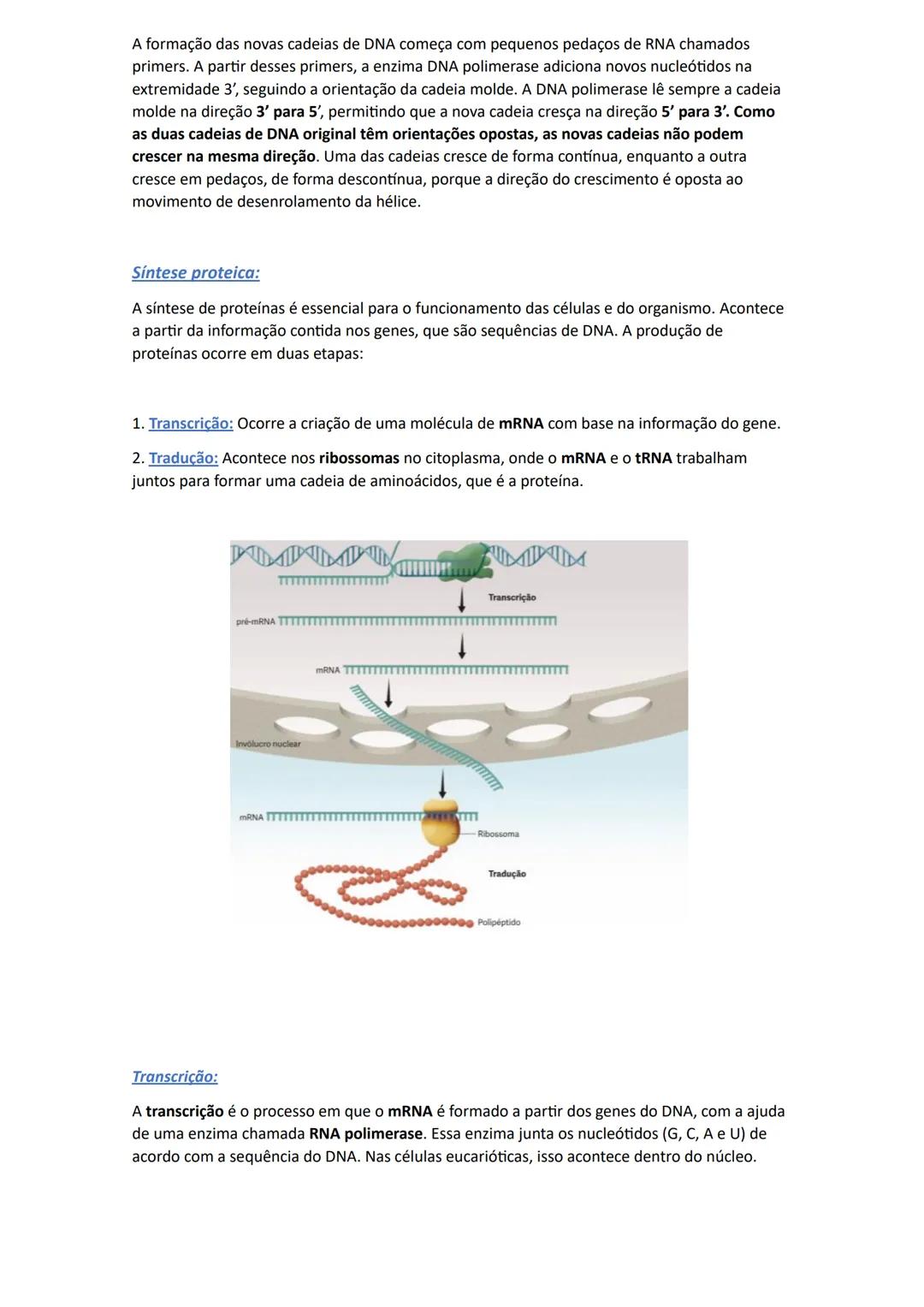 # Replicação do DNA
Para que os organismos se possam reproduzir, crescer e renovar os seus tecidos, é essencial
que formem novas células. P