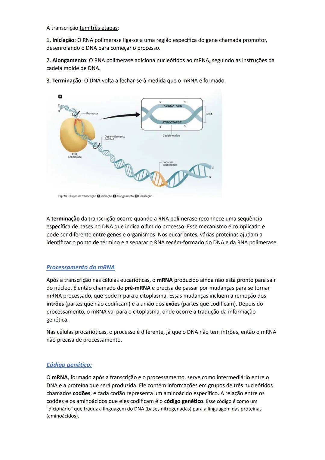 # Replicação do DNA
Para que os organismos se possam reproduzir, crescer e renovar os seus tecidos, é essencial
que formem novas células. P