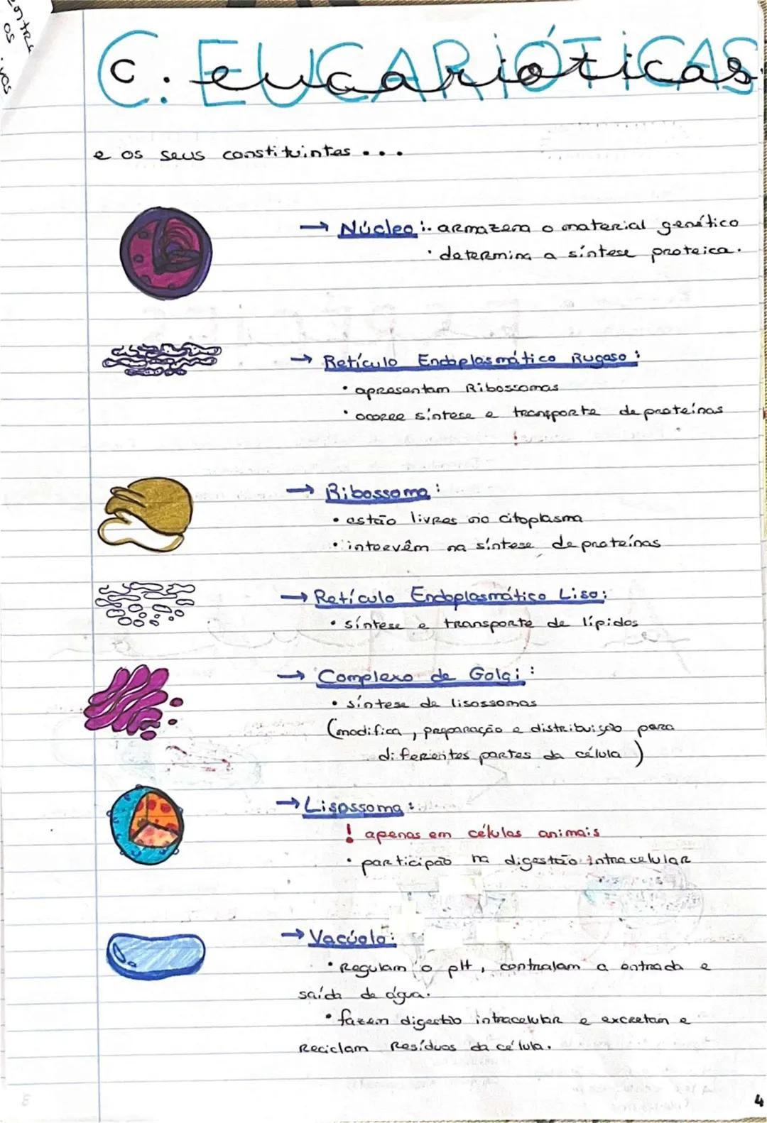 # GEOLOGIA 10°
• Subsistemas terrestres:
- Hidrosfera: reservatórios de água que existem na Terra
- Atmosfera: camada gasosa que envolve os