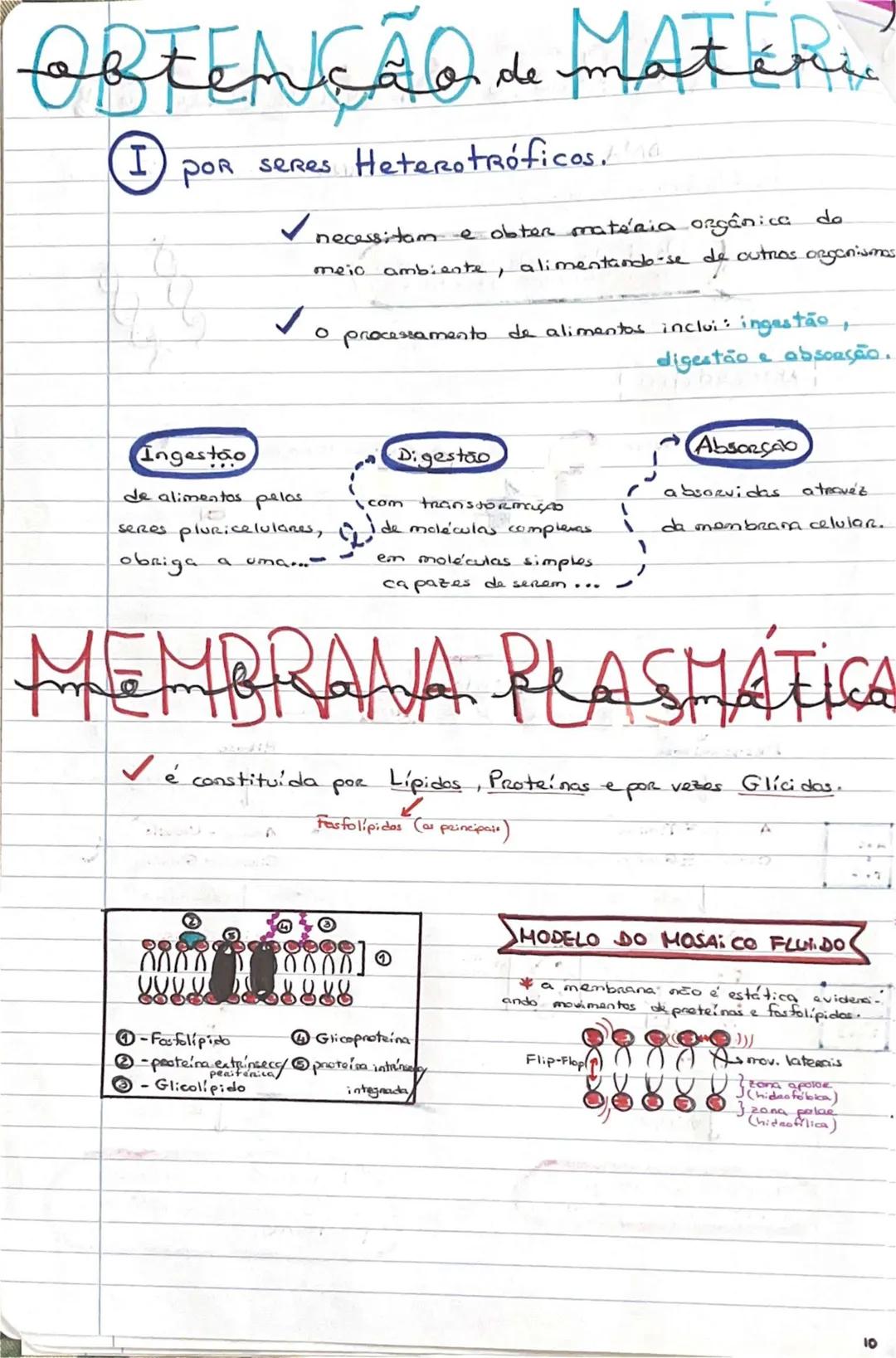 # GEOLOGIA 10°
• Subsistemas terrestres:
- Hidrosfera: reservatórios de água que existem na Terra
- Atmosfera: camada gasosa que envolve os