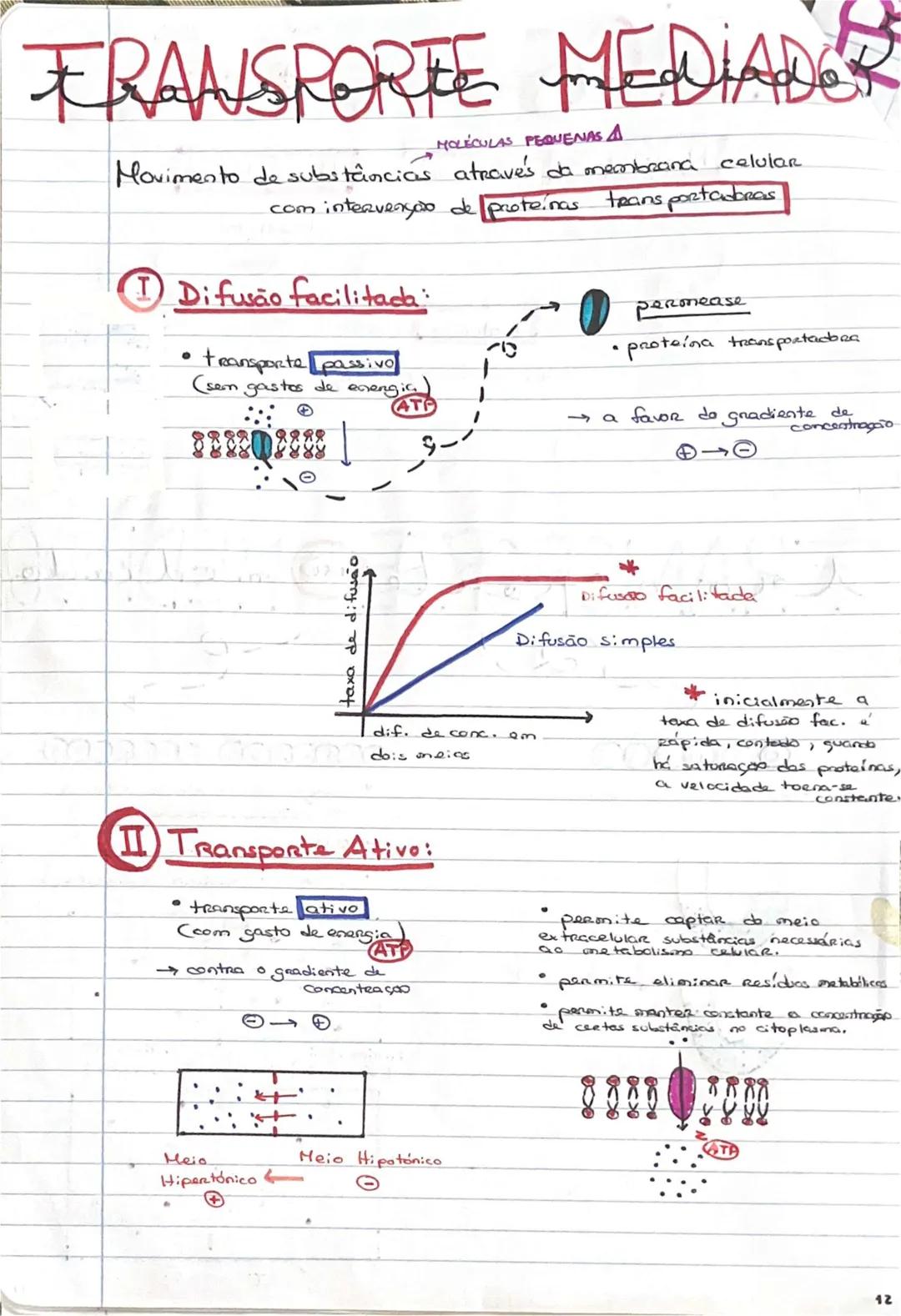 # GEOLOGIA 10°
• Subsistemas terrestres:
- Hidrosfera: reservatórios de água que existem na Terra
- Atmosfera: camada gasosa que envolve os