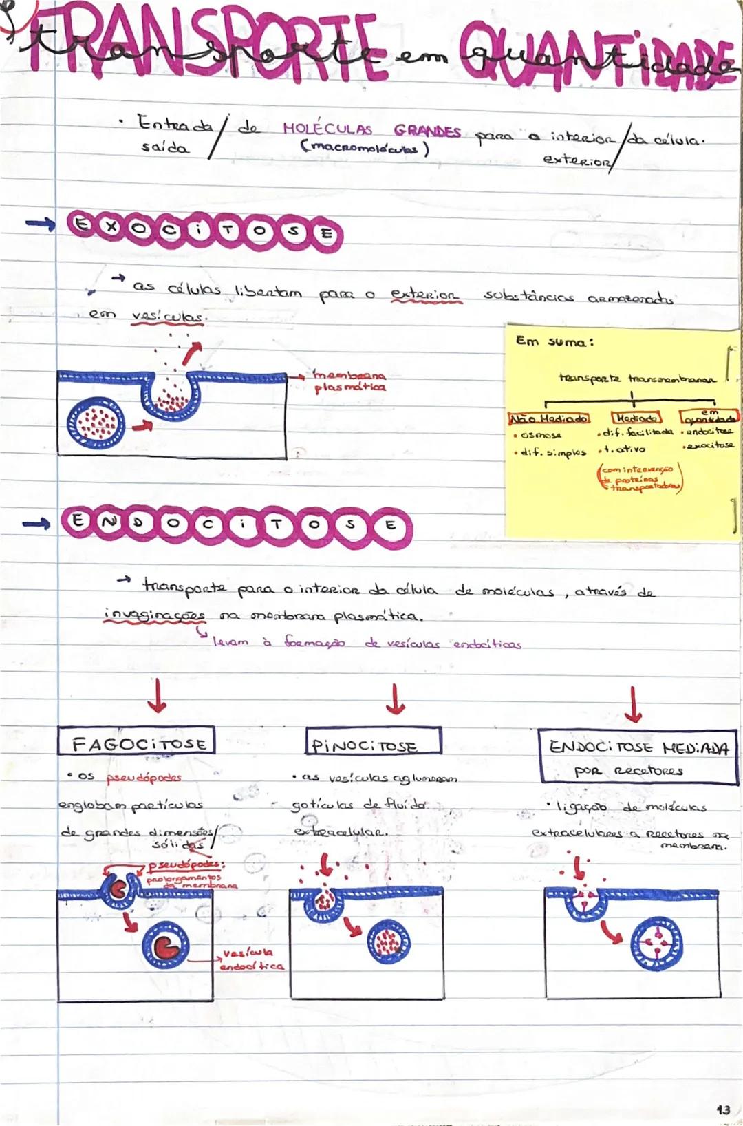 # GEOLOGIA 10°
• Subsistemas terrestres:
- Hidrosfera: reservatórios de água que existem na Terra
- Atmosfera: camada gasosa que envolve os