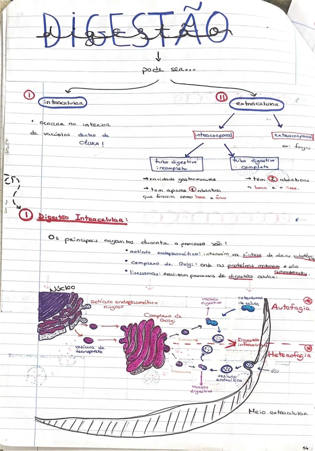# GEOLOGIA 10°
• Subsistemas terrestres:
- Hidrosfera: reservatórios de água que existem na Terra
- Atmosfera: camada gasosa que envolve os