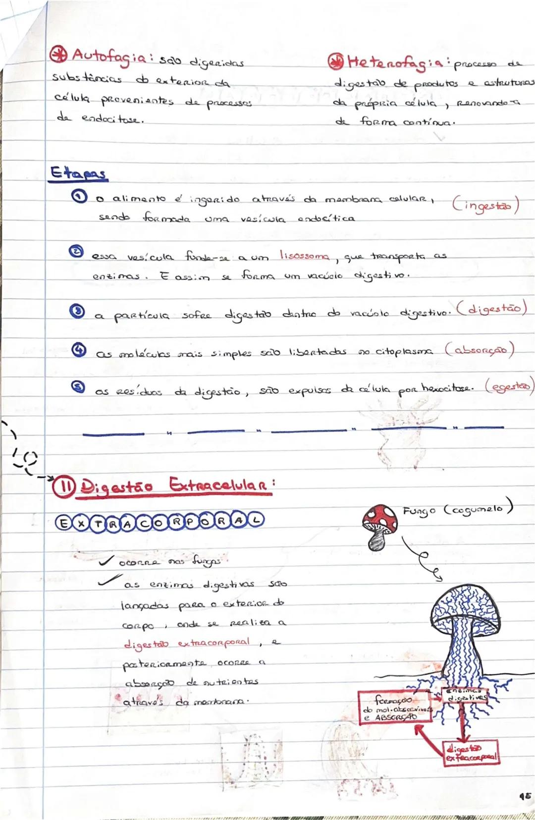 # GEOLOGIA 10°
• Subsistemas terrestres:
- Hidrosfera: reservatórios de água que existem na Terra
- Atmosfera: camada gasosa que envolve os