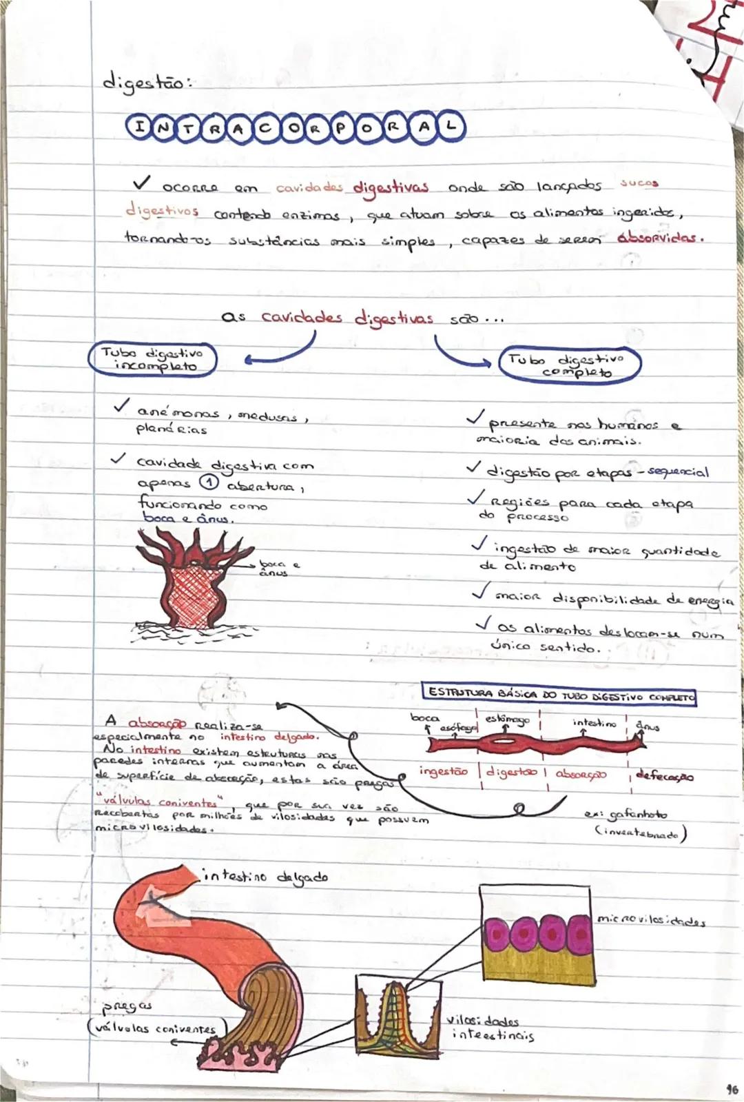 # GEOLOGIA 10°
• Subsistemas terrestres:
- Hidrosfera: reservatórios de água que existem na Terra
- Atmosfera: camada gasosa que envolve os