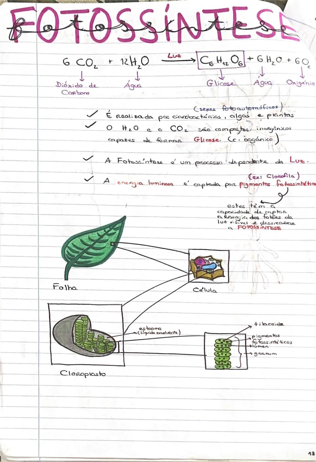 # GEOLOGIA 10°
• Subsistemas terrestres:
- Hidrosfera: reservatórios de água que existem na Terra
- Atmosfera: camada gasosa que envolve os