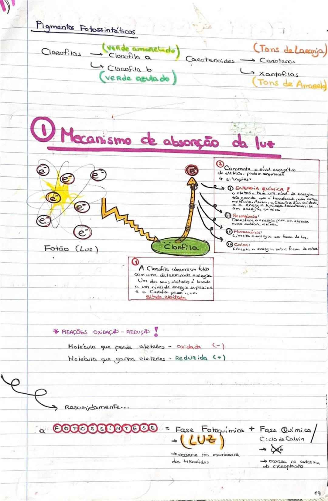 # GEOLOGIA 10°
• Subsistemas terrestres:
- Hidrosfera: reservatórios de água que existem na Terra
- Atmosfera: camada gasosa que envolve os