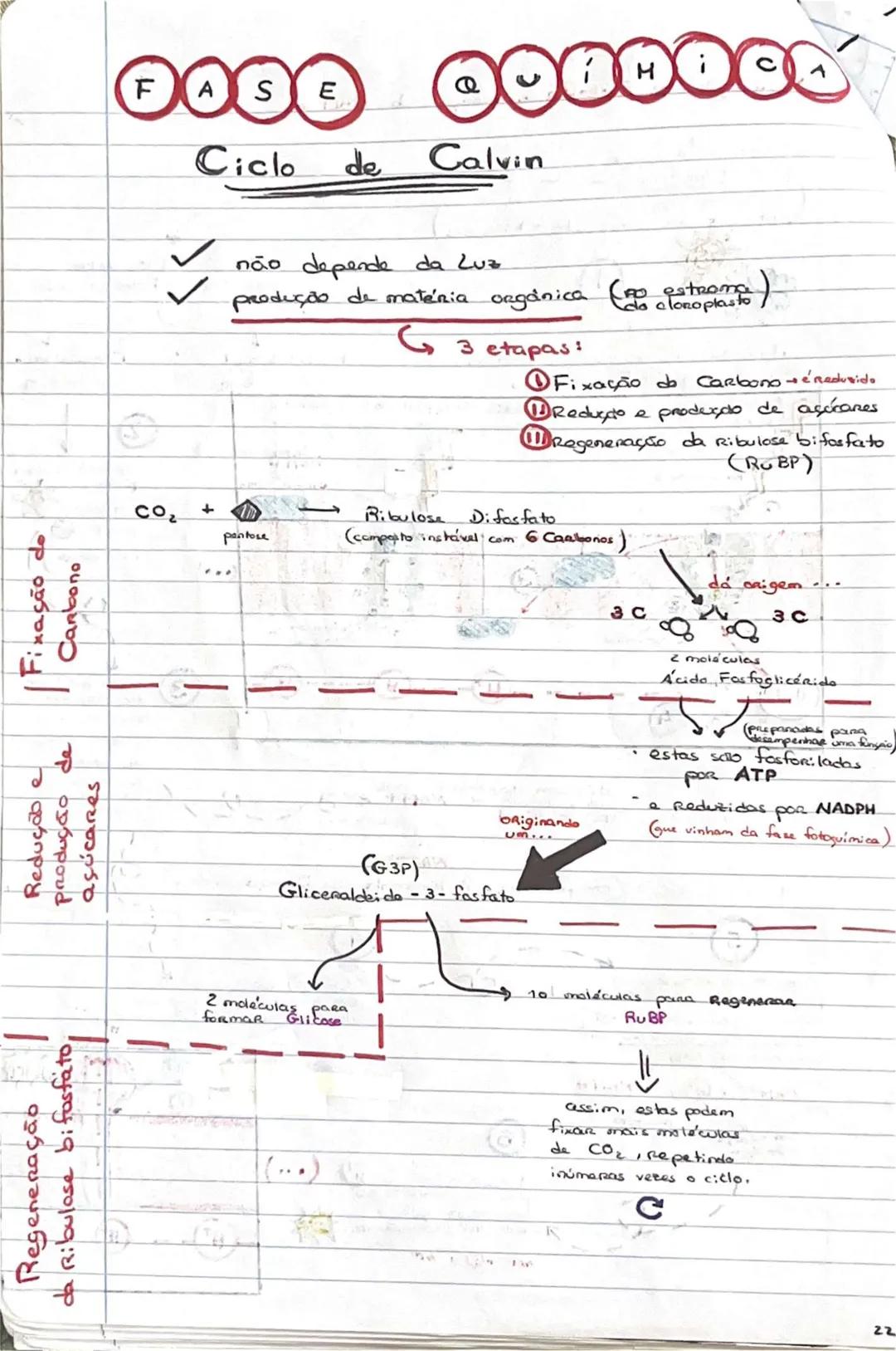 # GEOLOGIA 10°
• Subsistemas terrestres:
- Hidrosfera: reservatórios de água que existem na Terra
- Atmosfera: camada gasosa que envolve os