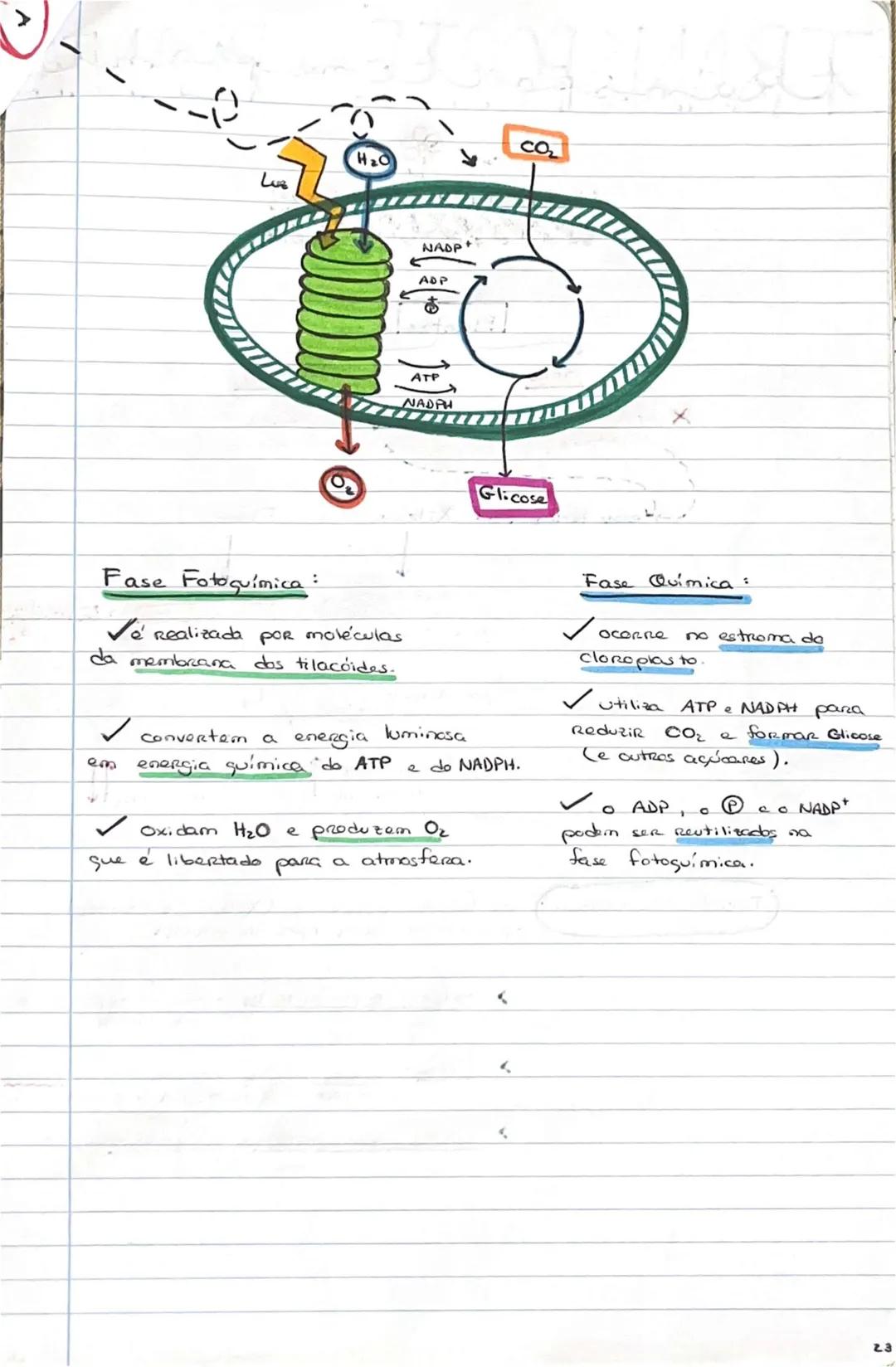 # GEOLOGIA 10°
• Subsistemas terrestres:
- Hidrosfera: reservatórios de água que existem na Terra
- Atmosfera: camada gasosa que envolve os