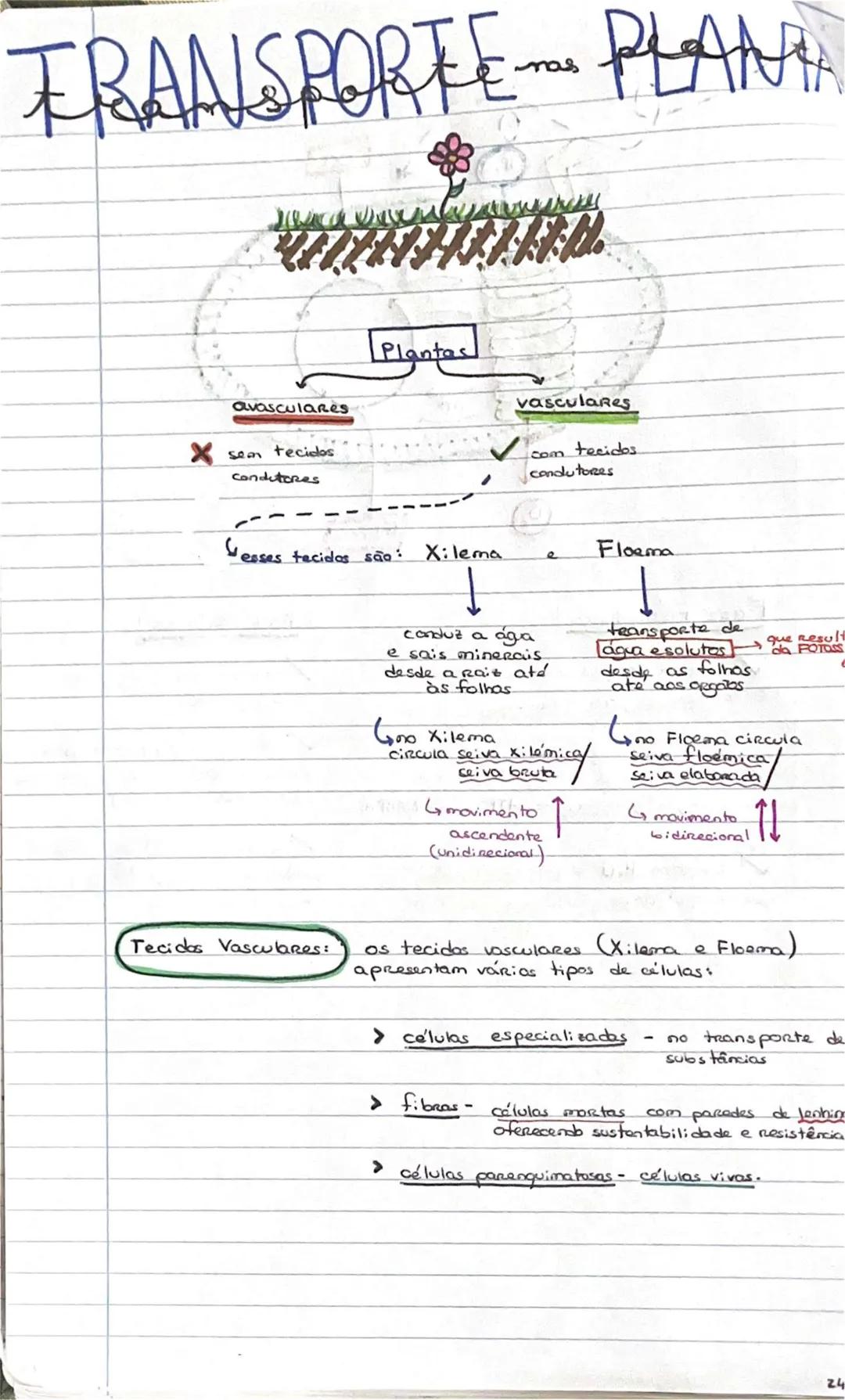# GEOLOGIA 10°
• Subsistemas terrestres:
- Hidrosfera: reservatórios de água que existem na Terra
- Atmosfera: camada gasosa que envolve os