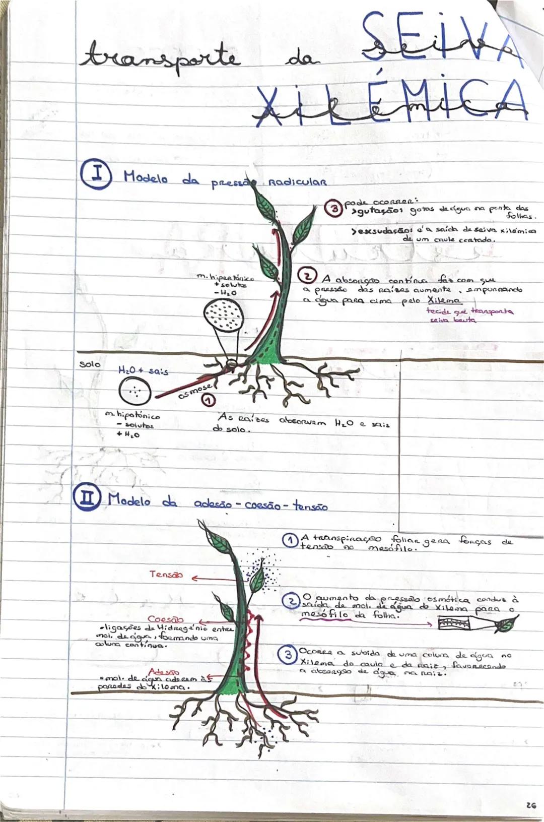 # GEOLOGIA 10°
• Subsistemas terrestres:
- Hidrosfera: reservatórios de água que existem na Terra
- Atmosfera: camada gasosa que envolve os