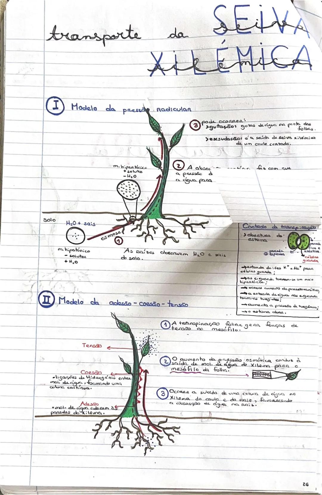 # GEOLOGIA 10°
• Subsistemas terrestres:
- Hidrosfera: reservatórios de água que existem na Terra
- Atmosfera: camada gasosa que envolve os