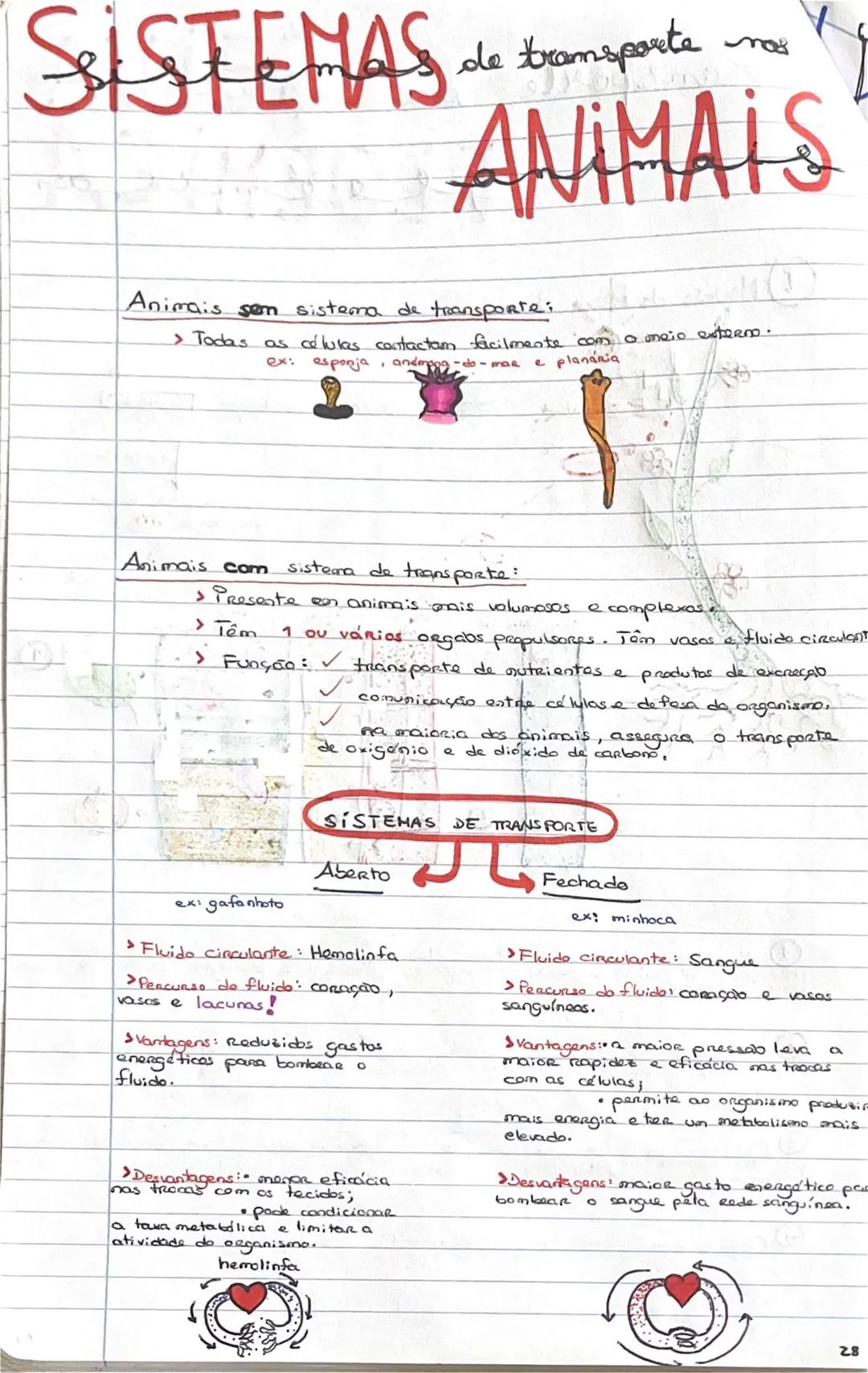 # GEOLOGIA 10°
• Subsistemas terrestres:
- Hidrosfera: reservatórios de água que existem na Terra
- Atmosfera: camada gasosa que envolve os