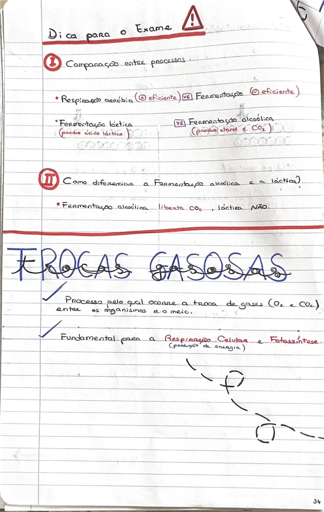 # GEOLOGIA 10°
• Subsistemas terrestres:
- Hidrosfera: reservatórios de água que existem na Terra
- Atmosfera: camada gasosa que envolve os