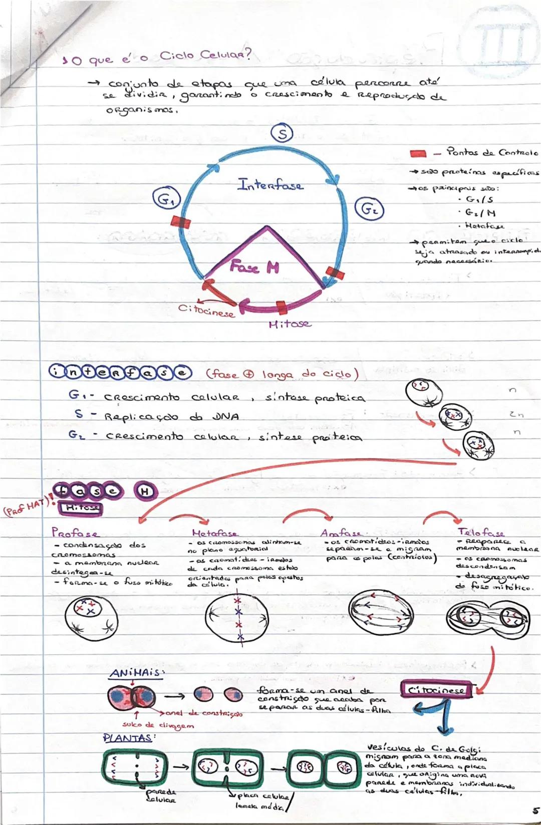 # GEOLOGIA 10°
• Subsistemas terrestres:
- Hidrosfera: reservatórios de água que existem na Terra
- Atmosfera: camada gasosa que envolve os
