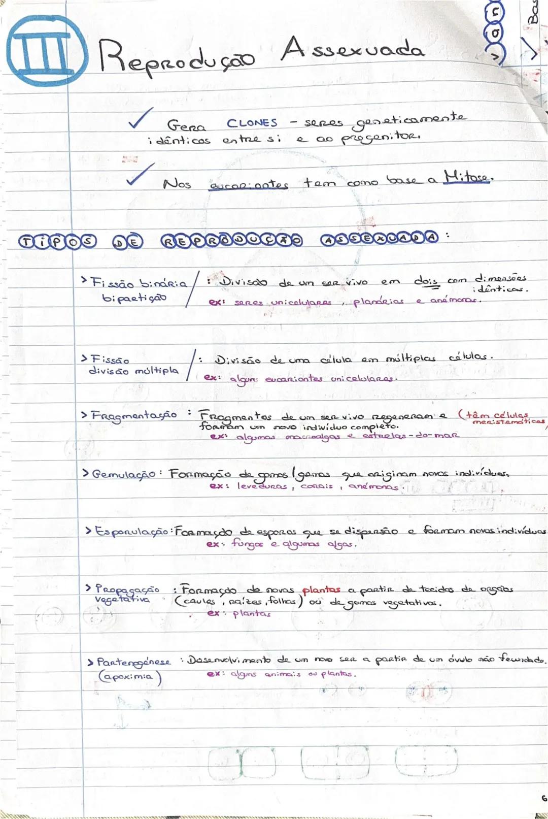 # GEOLOGIA 10°
• Subsistemas terrestres:
- Hidrosfera: reservatórios de água que existem na Terra
- Atmosfera: camada gasosa que envolve os