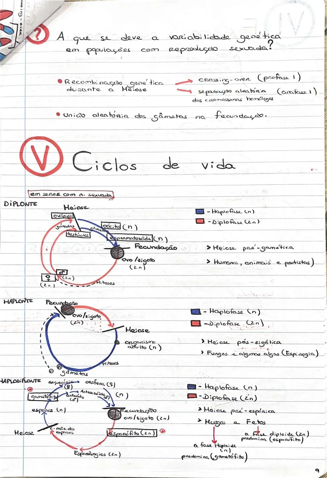 # GEOLOGIA 10°
• Subsistemas terrestres:
- Hidrosfera: reservatórios de água que existem na Terra
- Atmosfera: camada gasosa que envolve os
