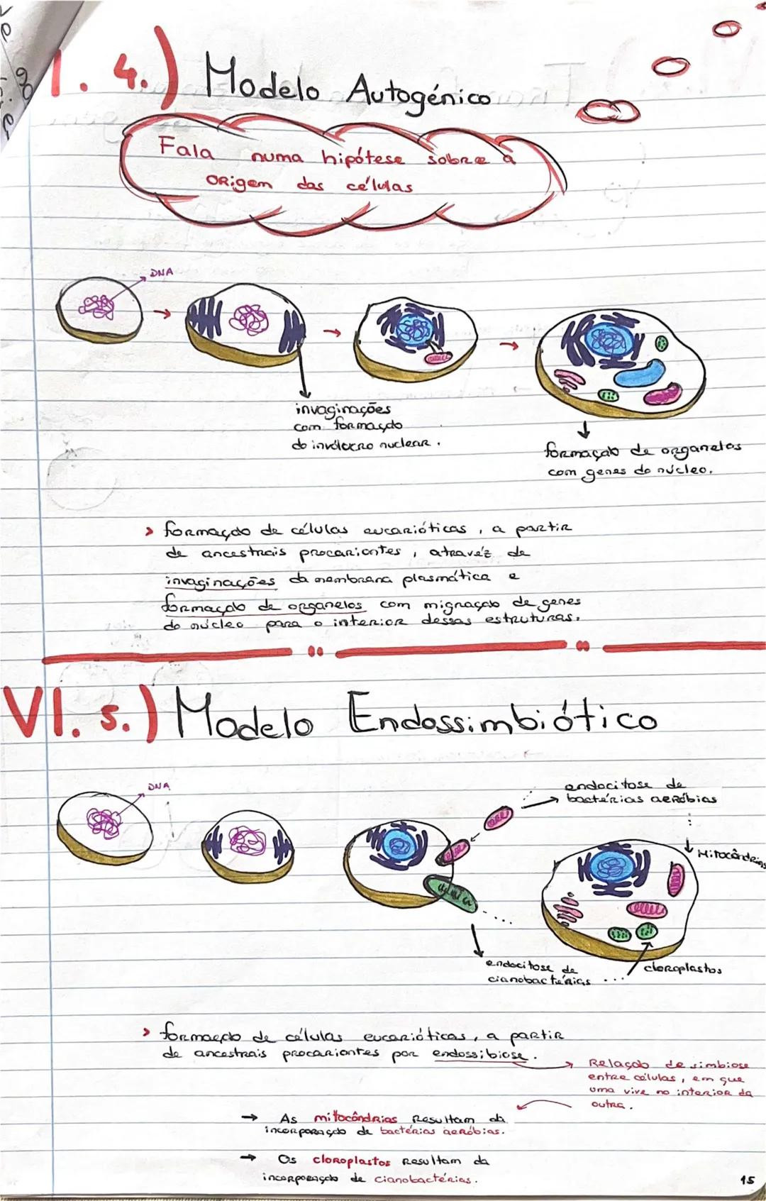 # GEOLOGIA 10°
• Subsistemas terrestres:
- Hidrosfera: reservatórios de água que existem na Terra
- Atmosfera: camada gasosa que envolve os
