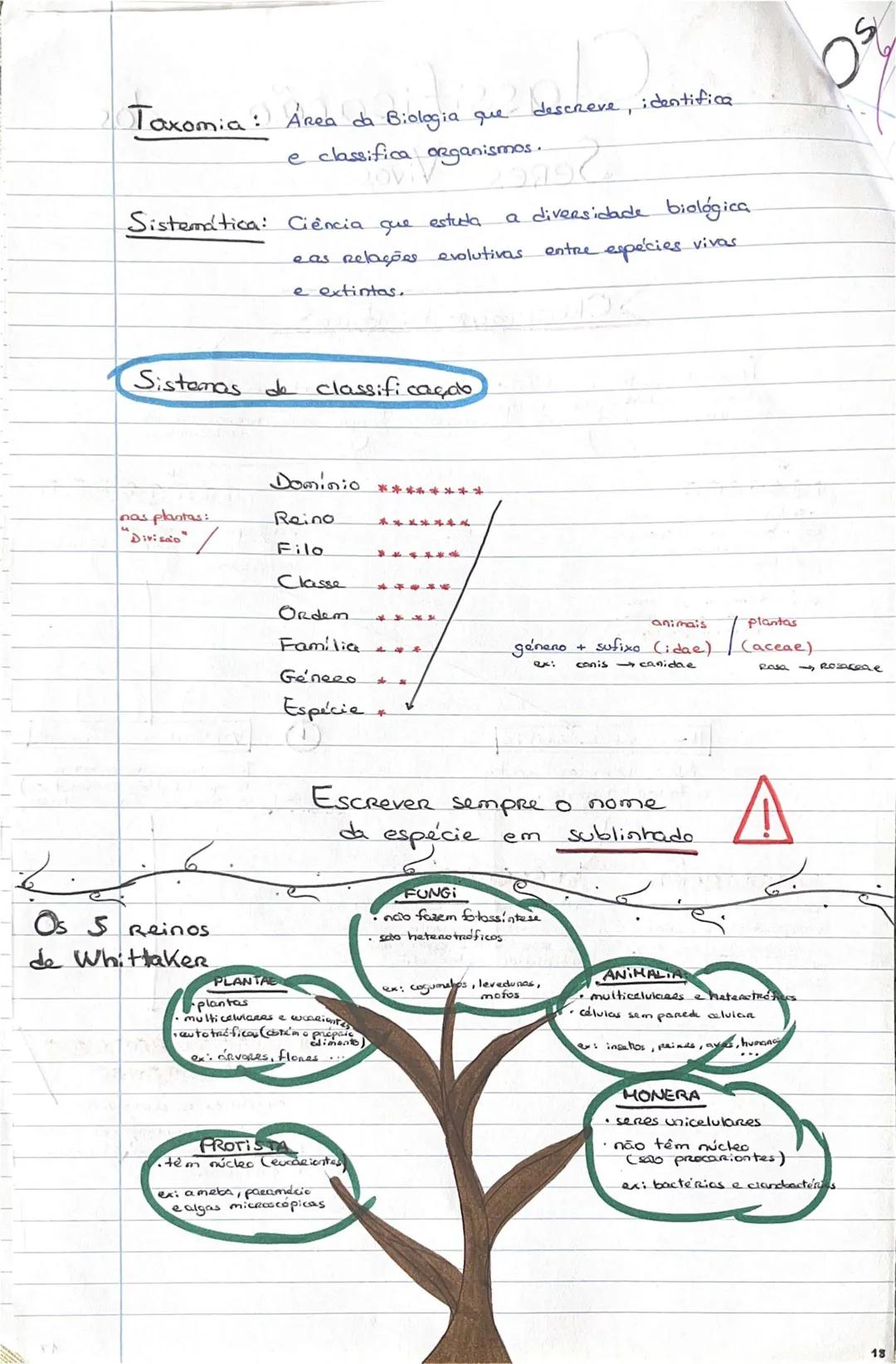 # GEOLOGIA 10°
• Subsistemas terrestres:
- Hidrosfera: reservatórios de água que existem na Terra
- Atmosfera: camada gasosa que envolve os