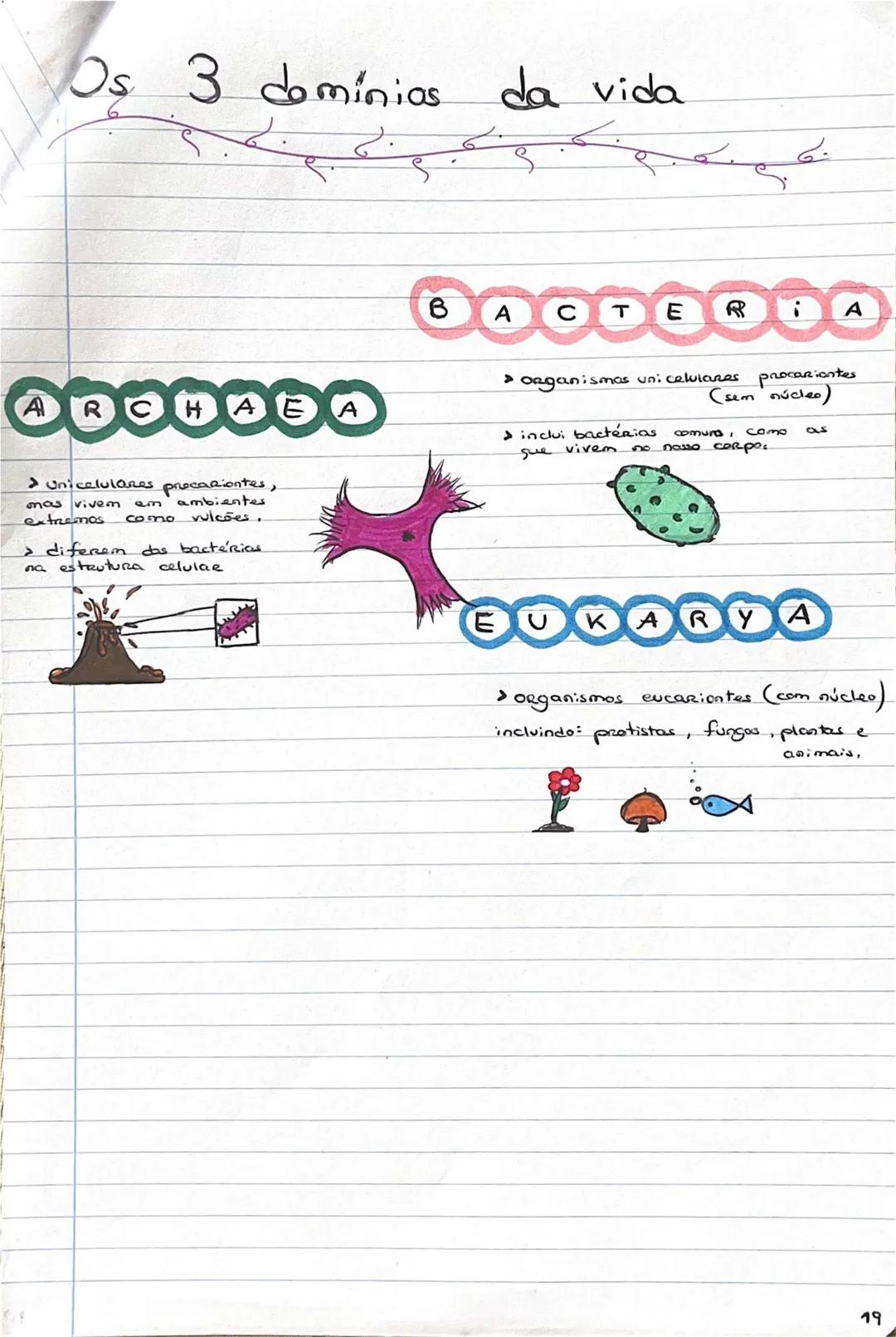 # GEOLOGIA 10°
• Subsistemas terrestres:
- Hidrosfera: reservatórios de água que existem na Terra
- Atmosfera: camada gasosa que envolve os