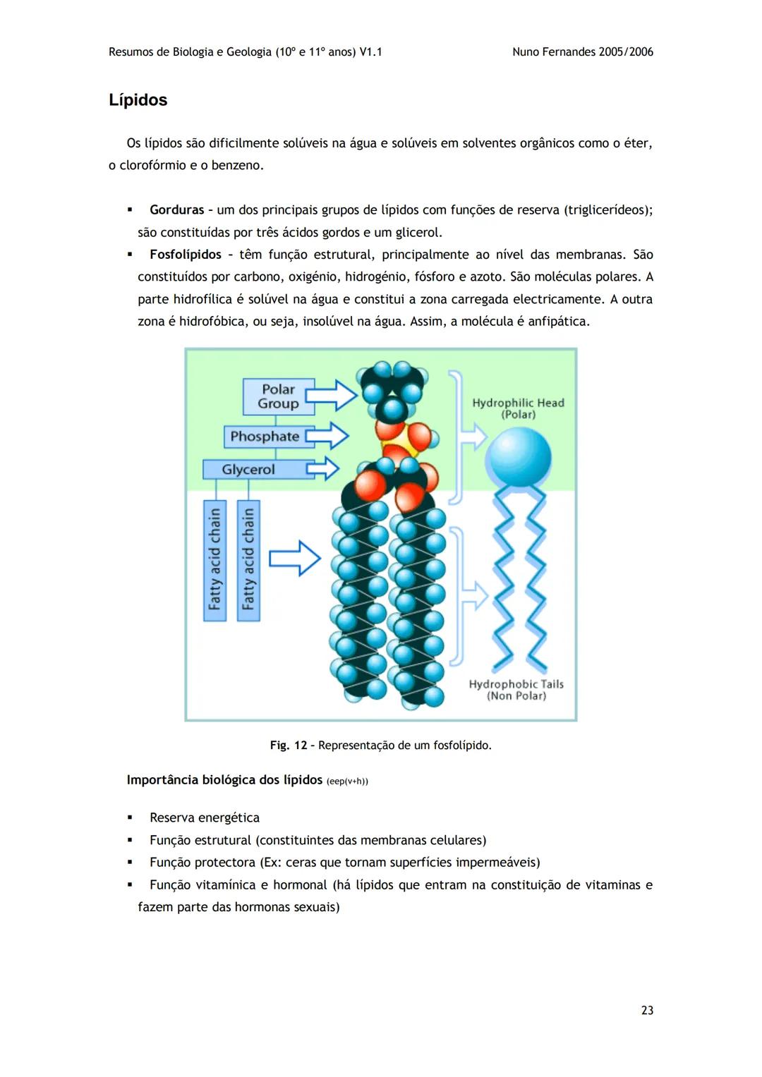 # -RESUMOS-
# BIOLOGIA E GEOLOGIA
10º E 11º Resumos de Biologia e Geologia (10° e 11° anos) V1.1
GEOLOGIA 10°
Nuno Fernandes 2005/2006
As