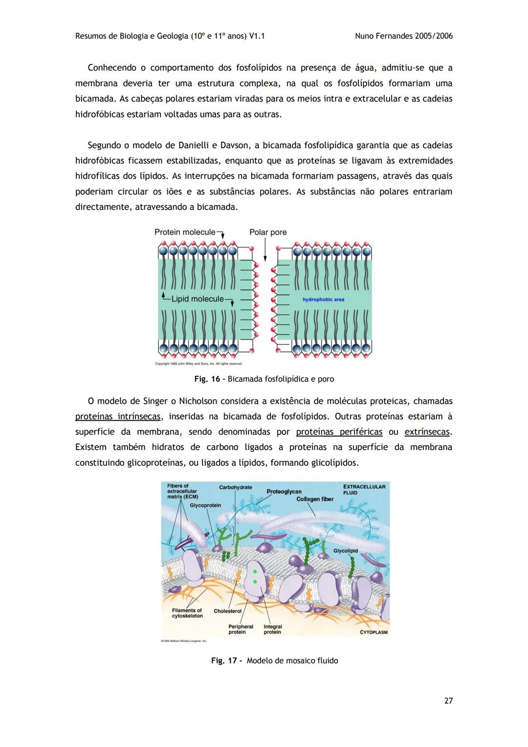 # -RESUMOS-
# BIOLOGIA E GEOLOGIA
10º E 11º Resumos de Biologia e Geologia (10° e 11° anos) V1.1
GEOLOGIA 10°
Nuno Fernandes 2005/2006
As