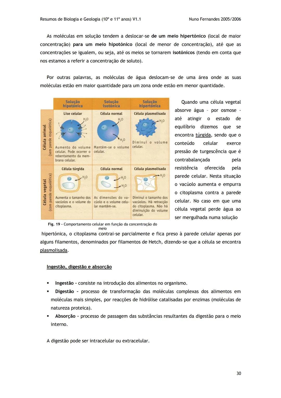 # -RESUMOS-
# BIOLOGIA E GEOLOGIA
10º E 11º Resumos de Biologia e Geologia (10° e 11° anos) V1.1
GEOLOGIA 10°
Nuno Fernandes 2005/2006
As