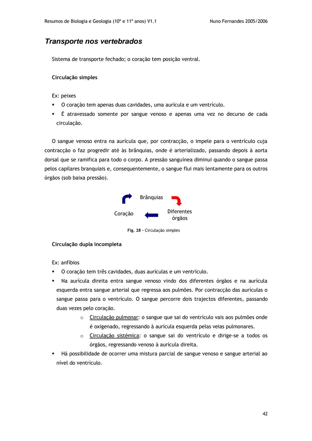 # -RESUMOS-
# BIOLOGIA E GEOLOGIA
10º E 11º Resumos de Biologia e Geologia (10° e 11° anos) V1.1
GEOLOGIA 10°
Nuno Fernandes 2005/2006
As