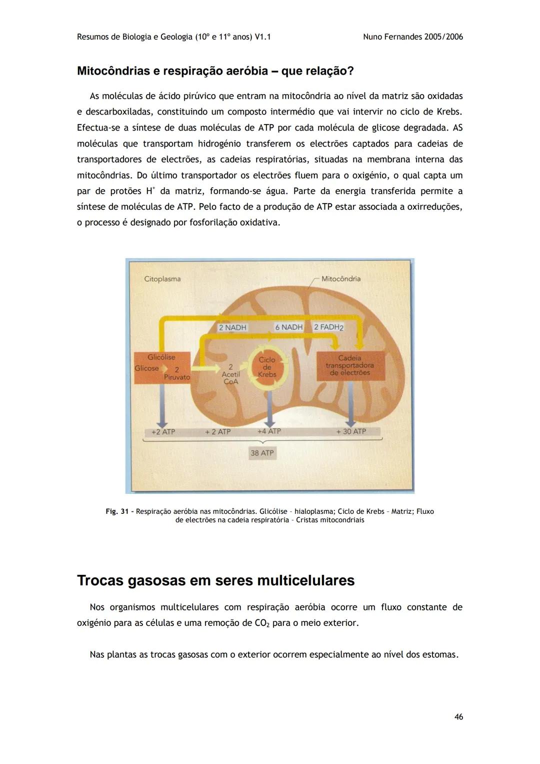 # -RESUMOS-
# BIOLOGIA E GEOLOGIA
10º E 11º Resumos de Biologia e Geologia (10° e 11° anos) V1.1
GEOLOGIA 10°
Nuno Fernandes 2005/2006
As