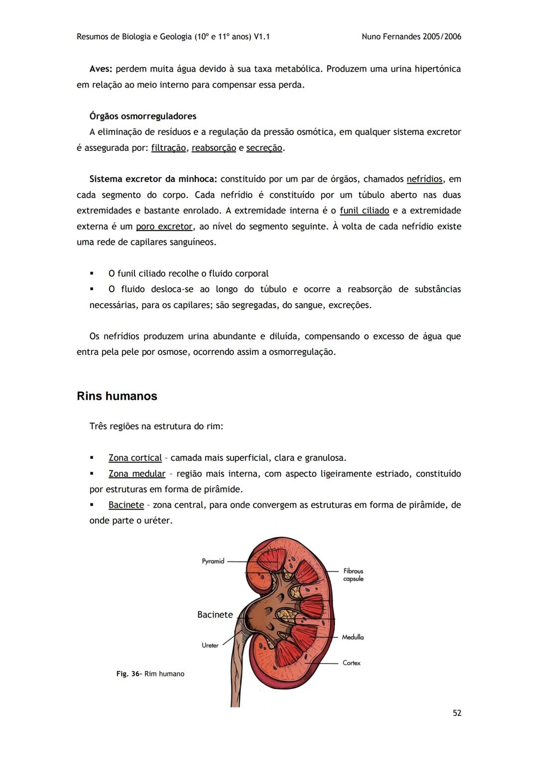 # -RESUMOS-
# BIOLOGIA E GEOLOGIA
10º E 11º Resumos de Biologia e Geologia (10° e 11° anos) V1.1
GEOLOGIA 10°
Nuno Fernandes 2005/2006
As