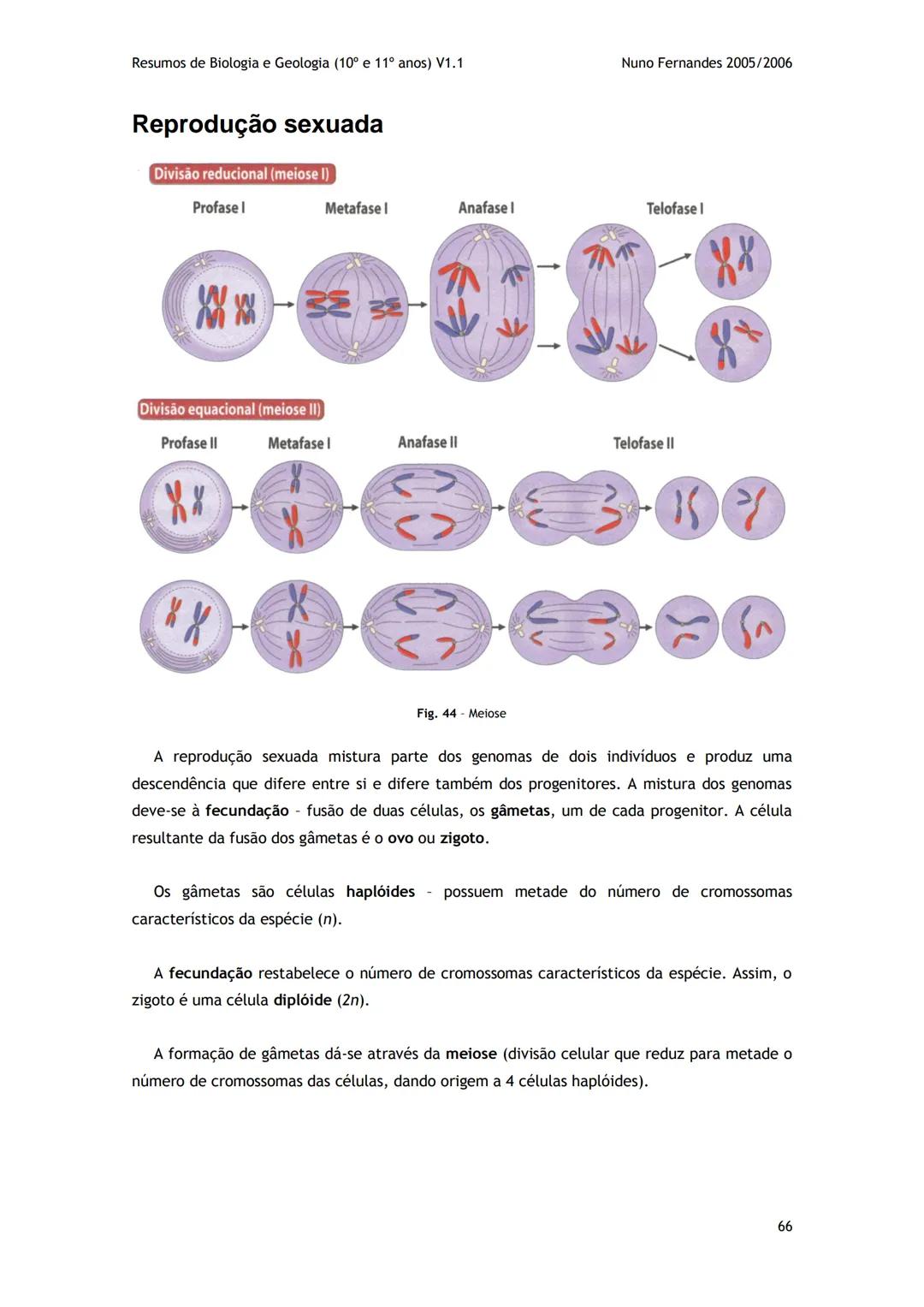 # -RESUMOS-
# BIOLOGIA E GEOLOGIA
10º E 11º Resumos de Biologia e Geologia (10° e 11° anos) V1.1
GEOLOGIA 10°
Nuno Fernandes 2005/2006
As