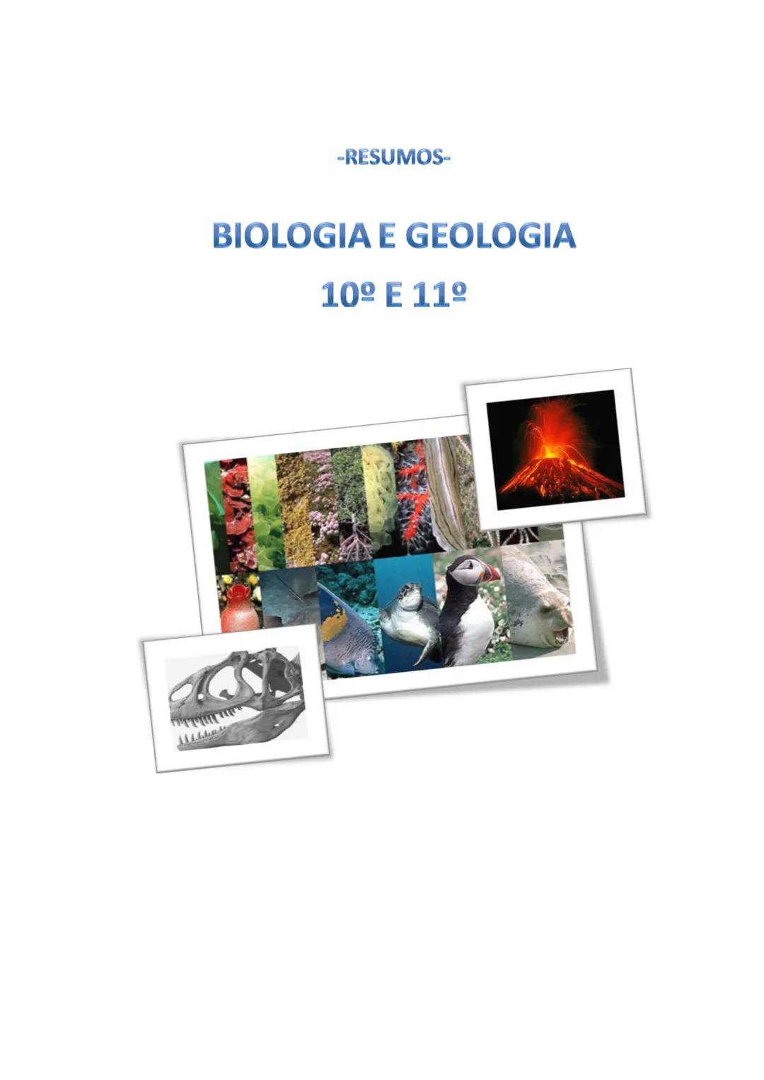 # -RESUMOS-
# BIOLOGIA E GEOLOGIA
10º E 11º Resumos de Biologia e Geologia (10° e 11° anos) V1.1
GEOLOGIA 10°
Nuno Fernandes 2005/2006
As