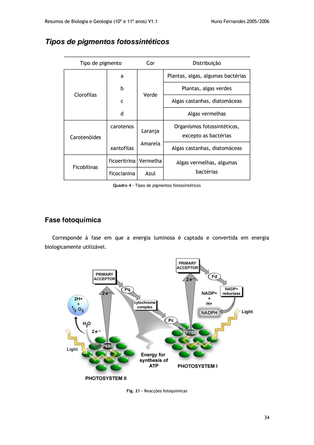 # -RESUMOS-
# BIOLOGIA E GEOLOGIA
10º E 11º Resumos de Biologia e Geologia (10° e 11° anos) V1.1
GEOLOGIA 10°
Nuno Fernandes 2005/2006
As