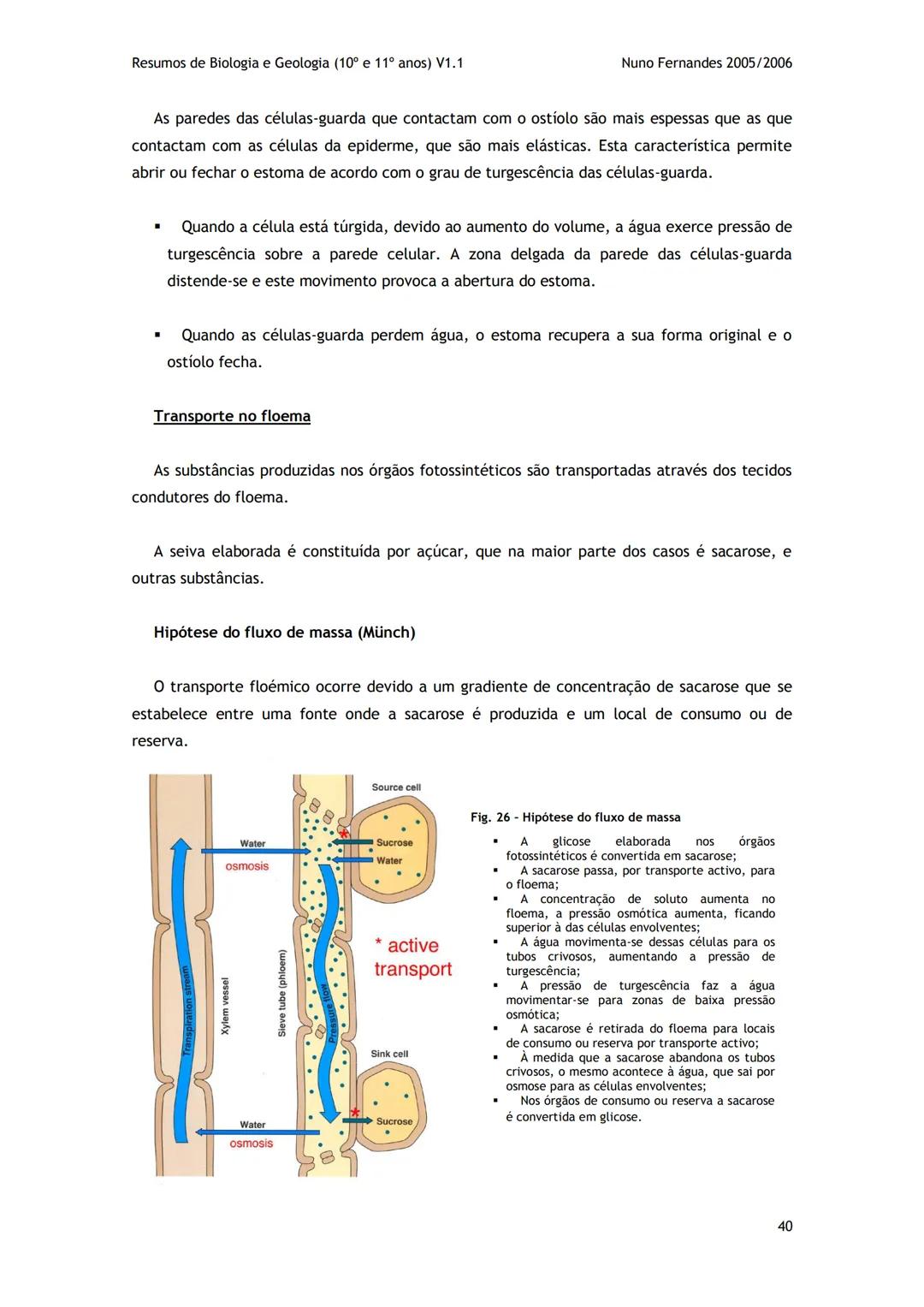 # -RESUMOS-
# BIOLOGIA E GEOLOGIA
10º E 11º Resumos de Biologia e Geologia (10° e 11° anos) V1.1
GEOLOGIA 10°
Nuno Fernandes 2005/2006
As