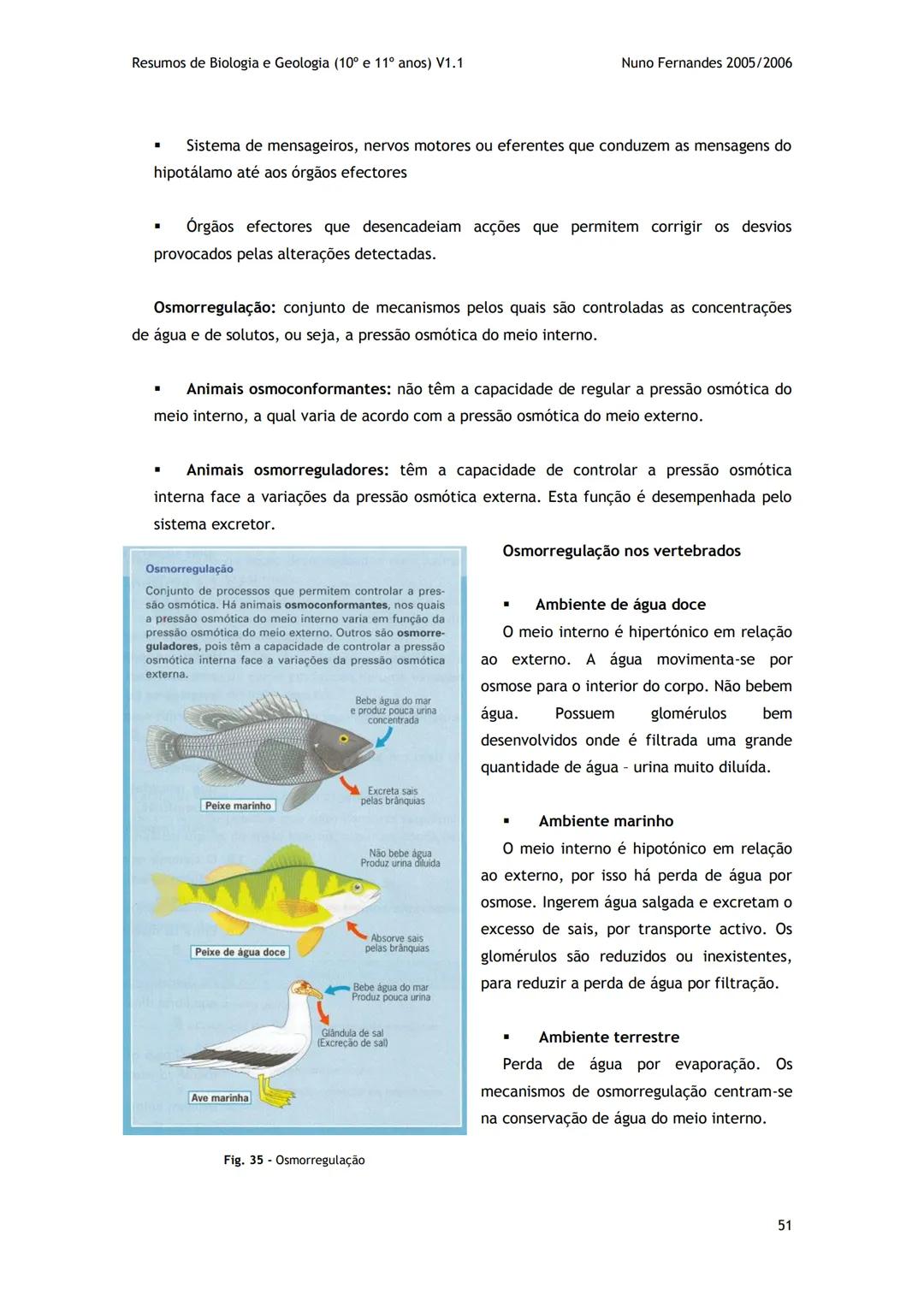 # -RESUMOS-
# BIOLOGIA E GEOLOGIA
10º E 11º Resumos de Biologia e Geologia (10° e 11° anos) V1.1
GEOLOGIA 10°
Nuno Fernandes 2005/2006
As