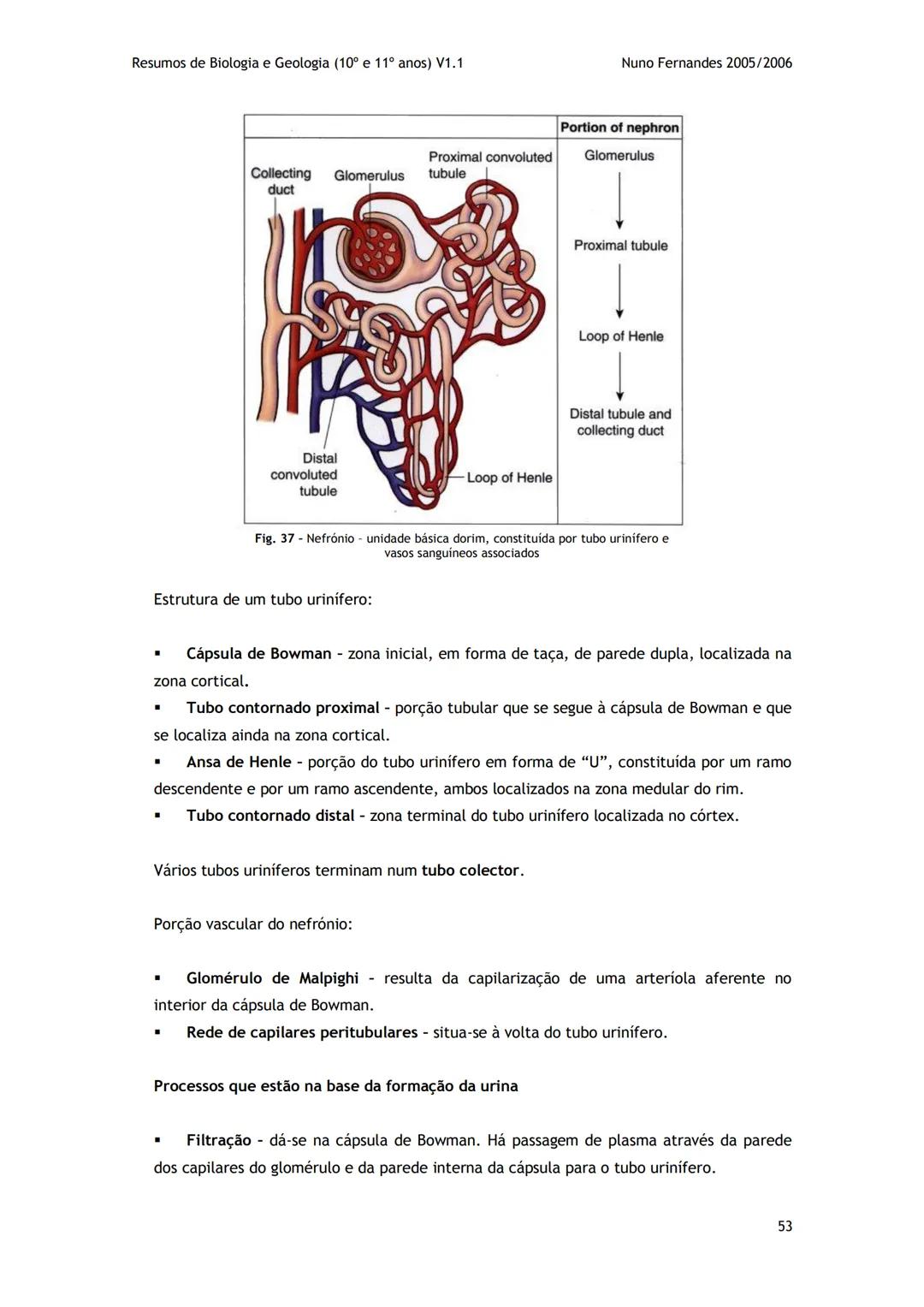 # -RESUMOS-
# BIOLOGIA E GEOLOGIA
10º E 11º Resumos de Biologia e Geologia (10° e 11° anos) V1.1
GEOLOGIA 10°
Nuno Fernandes 2005/2006
As