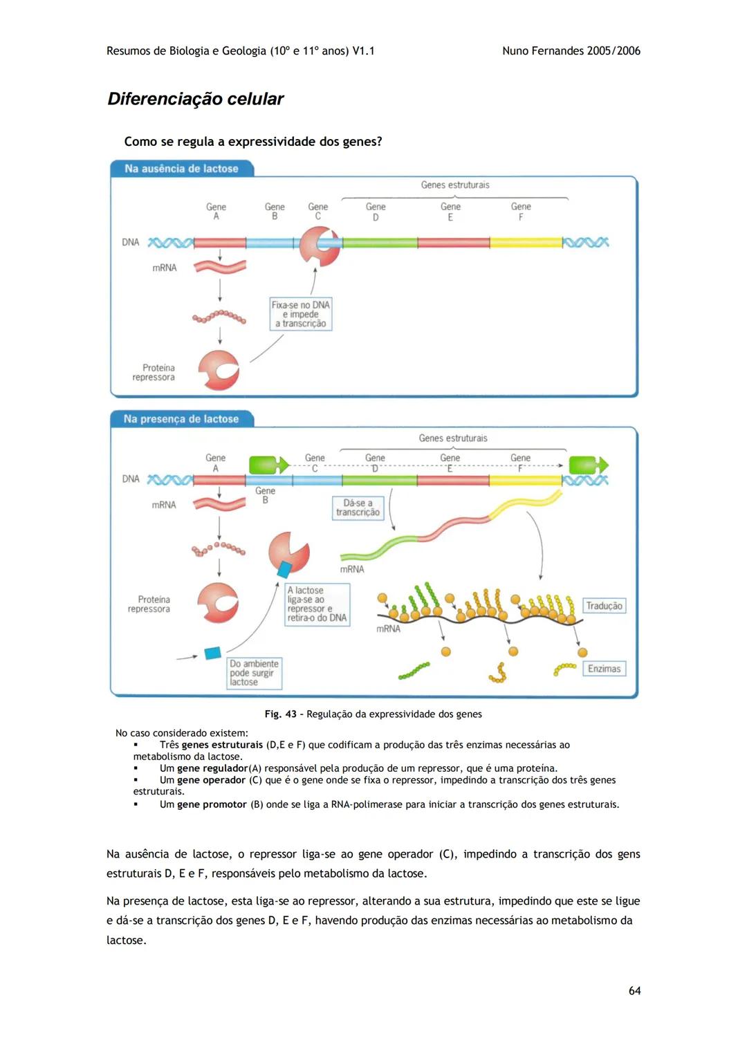 # -RESUMOS-
# BIOLOGIA E GEOLOGIA
10º E 11º Resumos de Biologia e Geologia (10° e 11° anos) V1.1
GEOLOGIA 10°
Nuno Fernandes 2005/2006
As