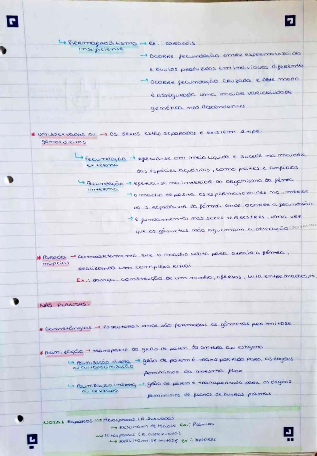 # REPRODUÇÃO SEXUADA
* Na R. sexvada OCORRE a meiase e a pecumdação.
* Na merose surge variabilidade genética devido a moco de segmenia
