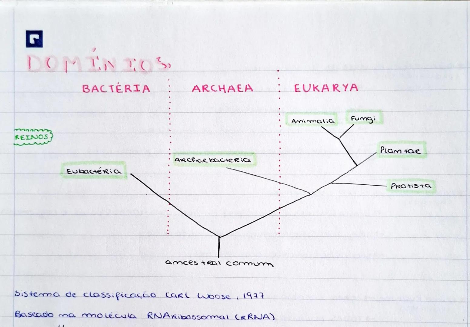 Sistemática faz o estudo cientifico dos seres vivos, das suas relações evocu.
tivas e desenvolve sistemas de classificação que refierem essa