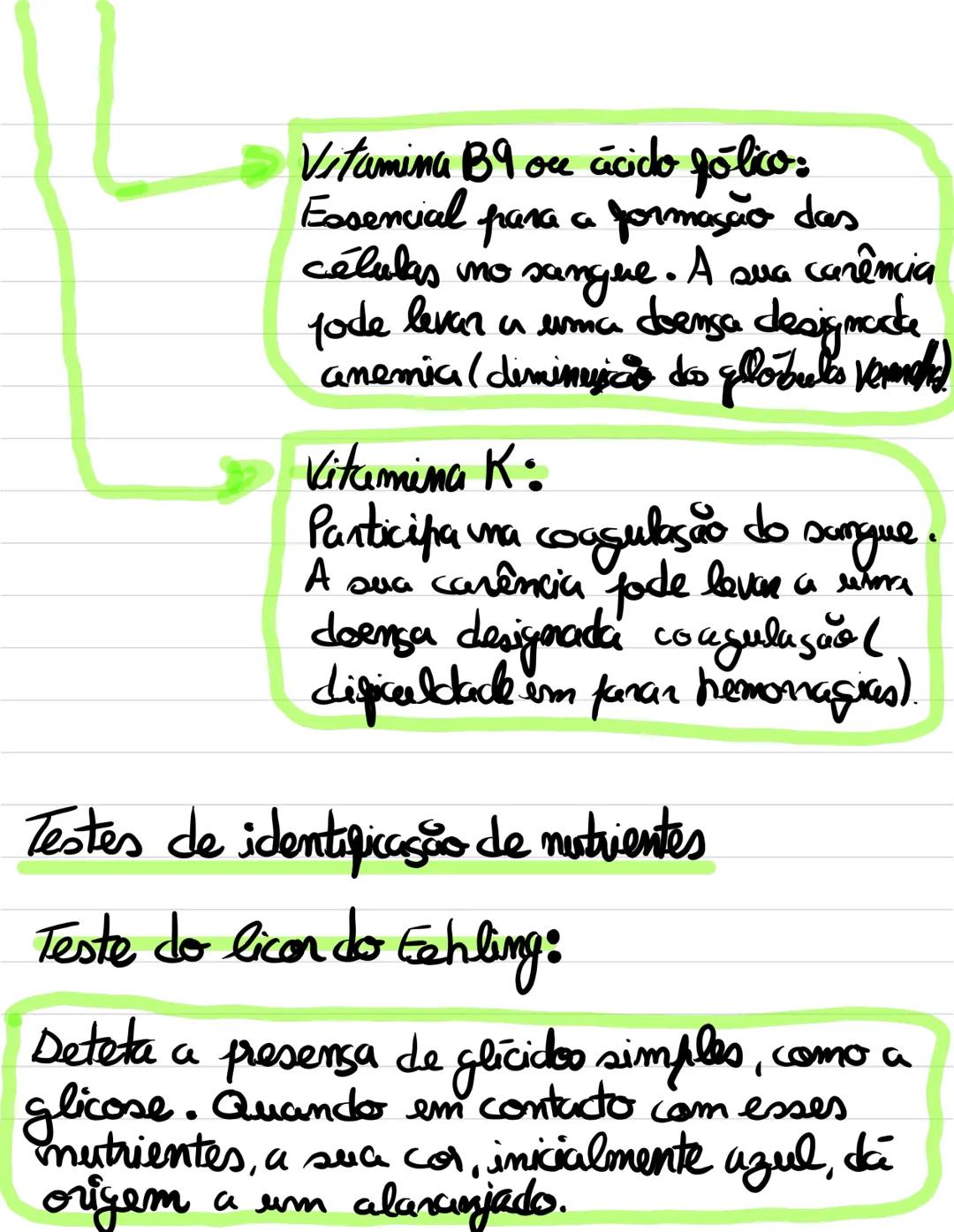 Alimentação saudável
Nutrientes
Alimentação
Brocesso que permite
obter os alimentos mecessários
às suas funções vitais
Alimento
Substâ