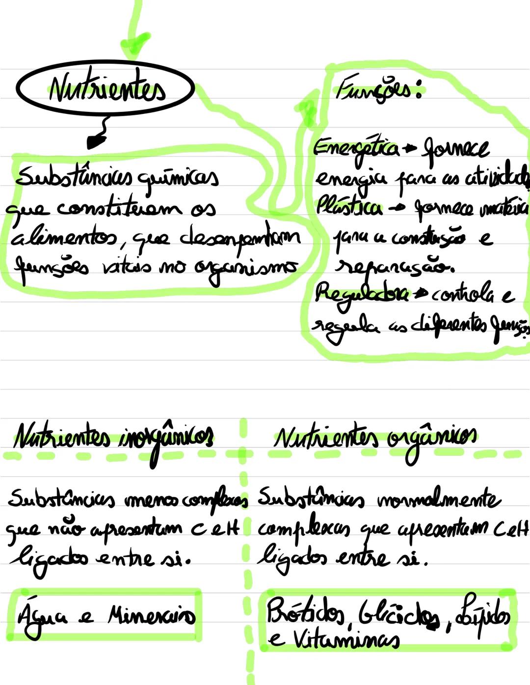 Alimentação saudável
Nutrientes
Alimentação
Brocesso que permite
obter os alimentos mecessários
às suas funções vitais
Alimento
Substâ