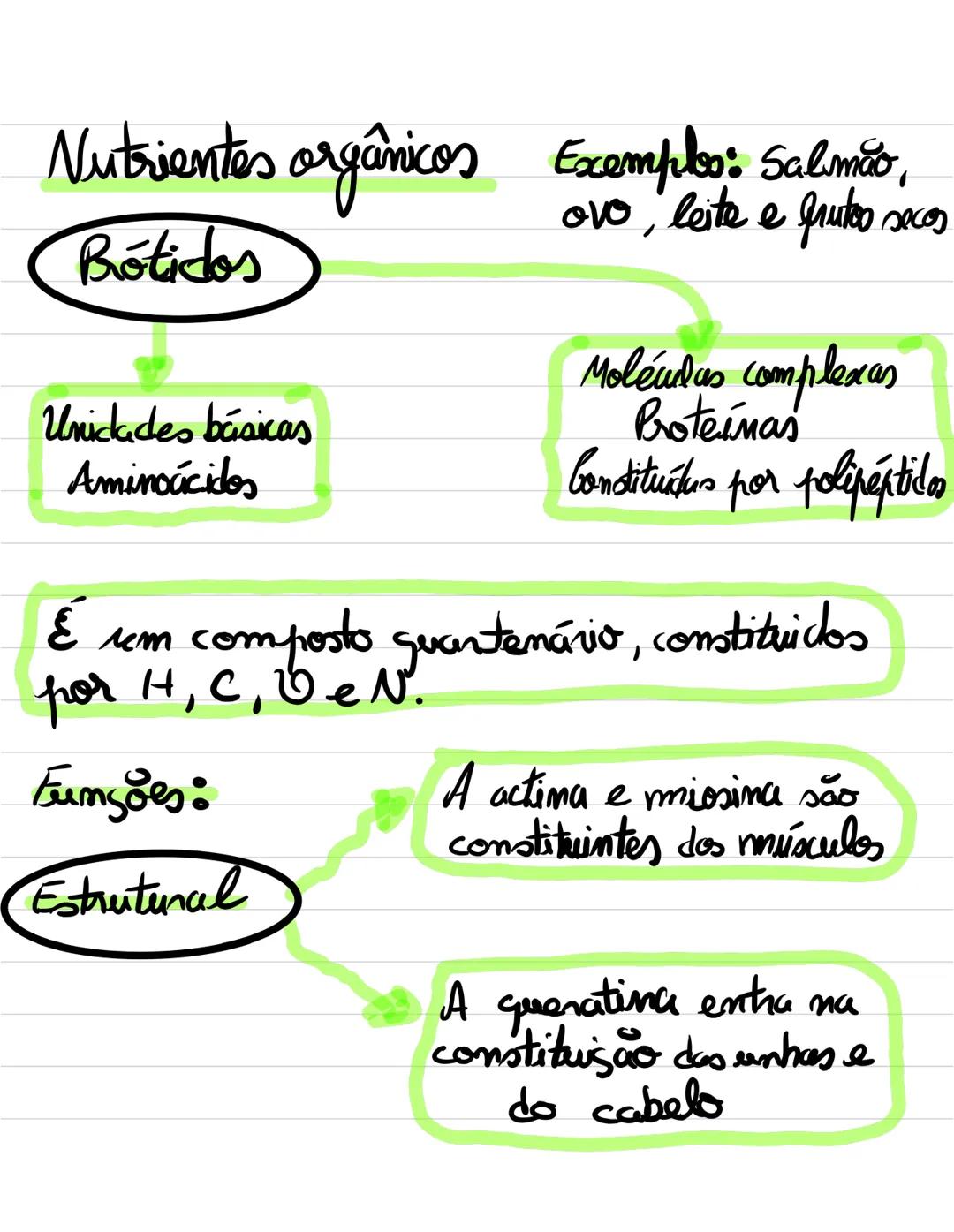 Alimentação saudável
Nutrientes
Alimentação
Brocesso que permite
obter os alimentos mecessários
às suas funções vitais
Alimento
Substâ